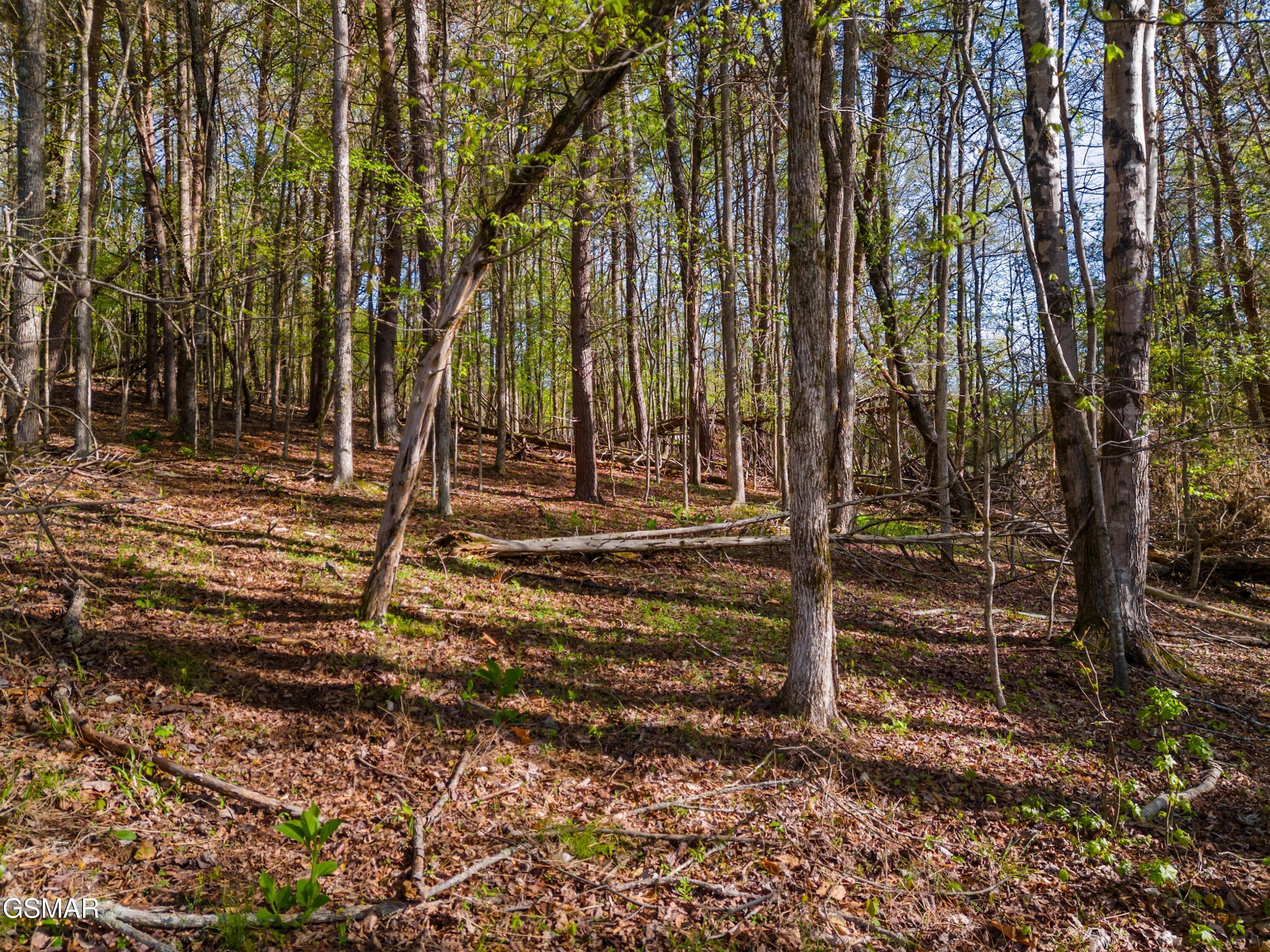 Lot 13 Back Nine Drive Baneberry TN 37890