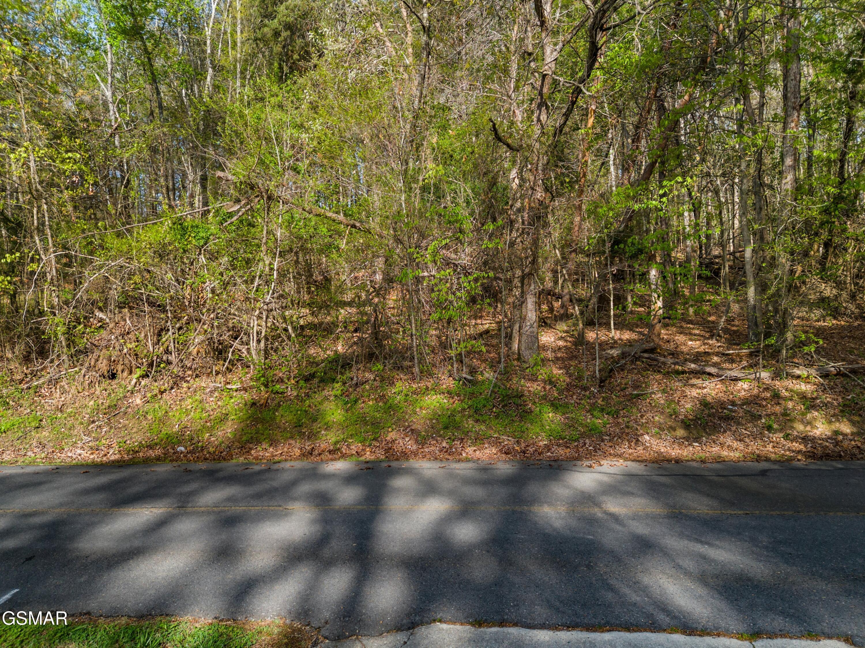 Lot 13 Back Nine Drive Baneberry TN 37890