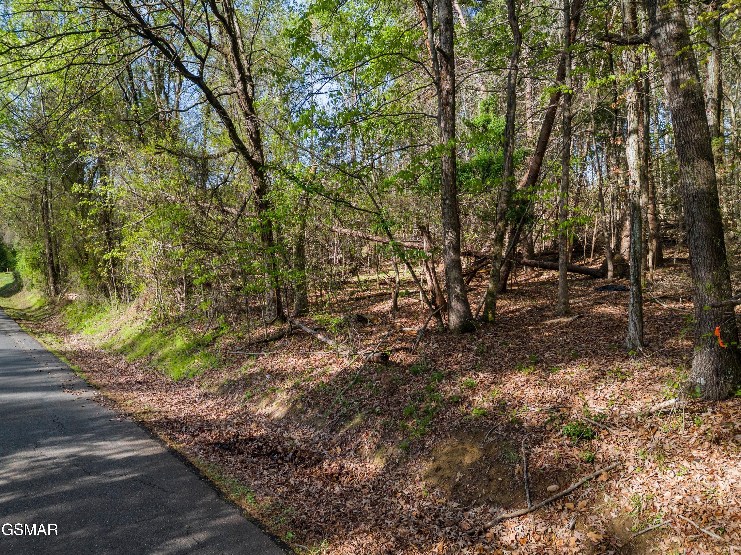 Lot 13 Back Nine Drive Baneberry TN 37890