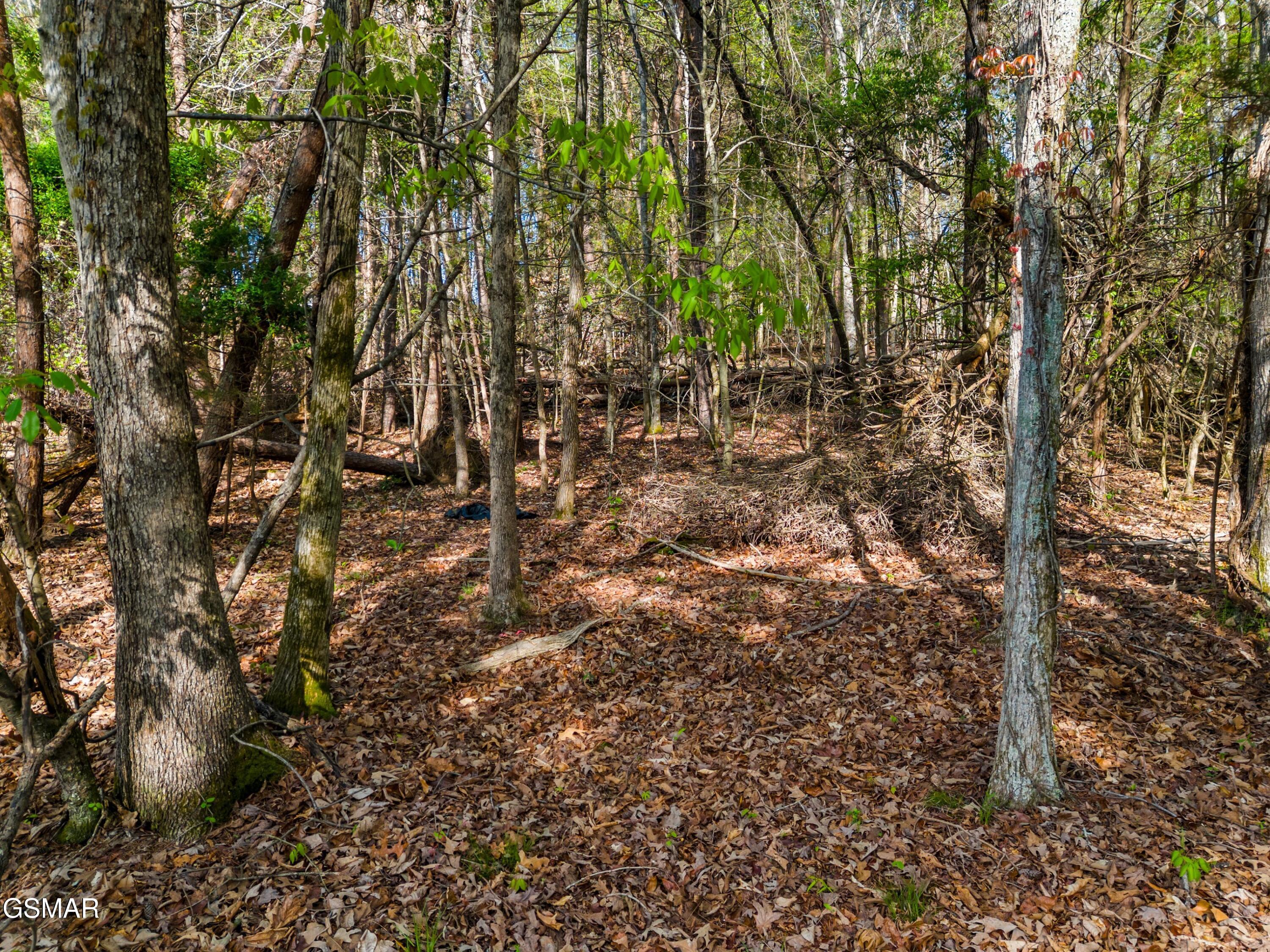 Lot 13 Back Nine Drive Baneberry TN 37890