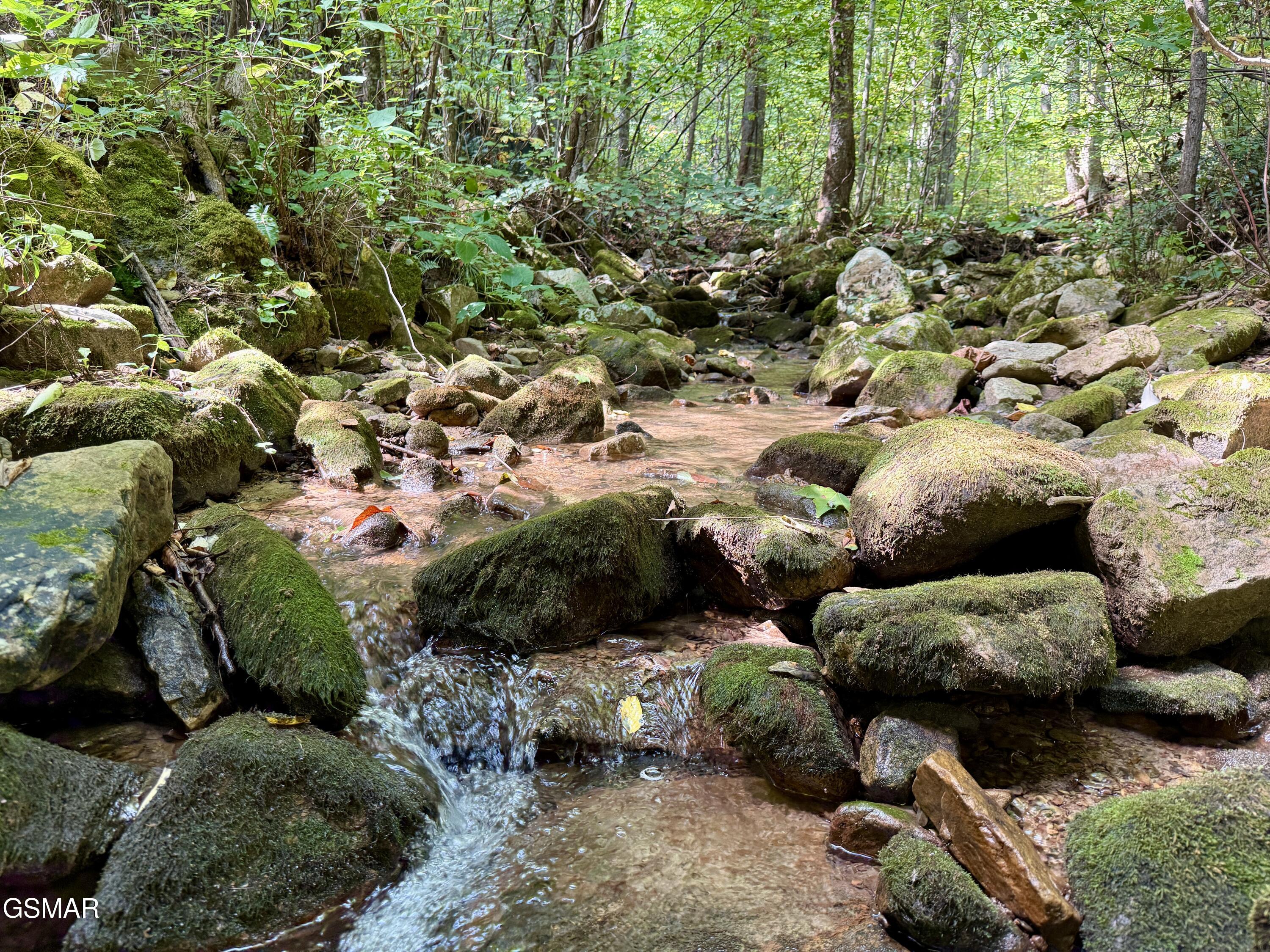 Lot 154 Summit Trails Drive Sevierville TN 37862