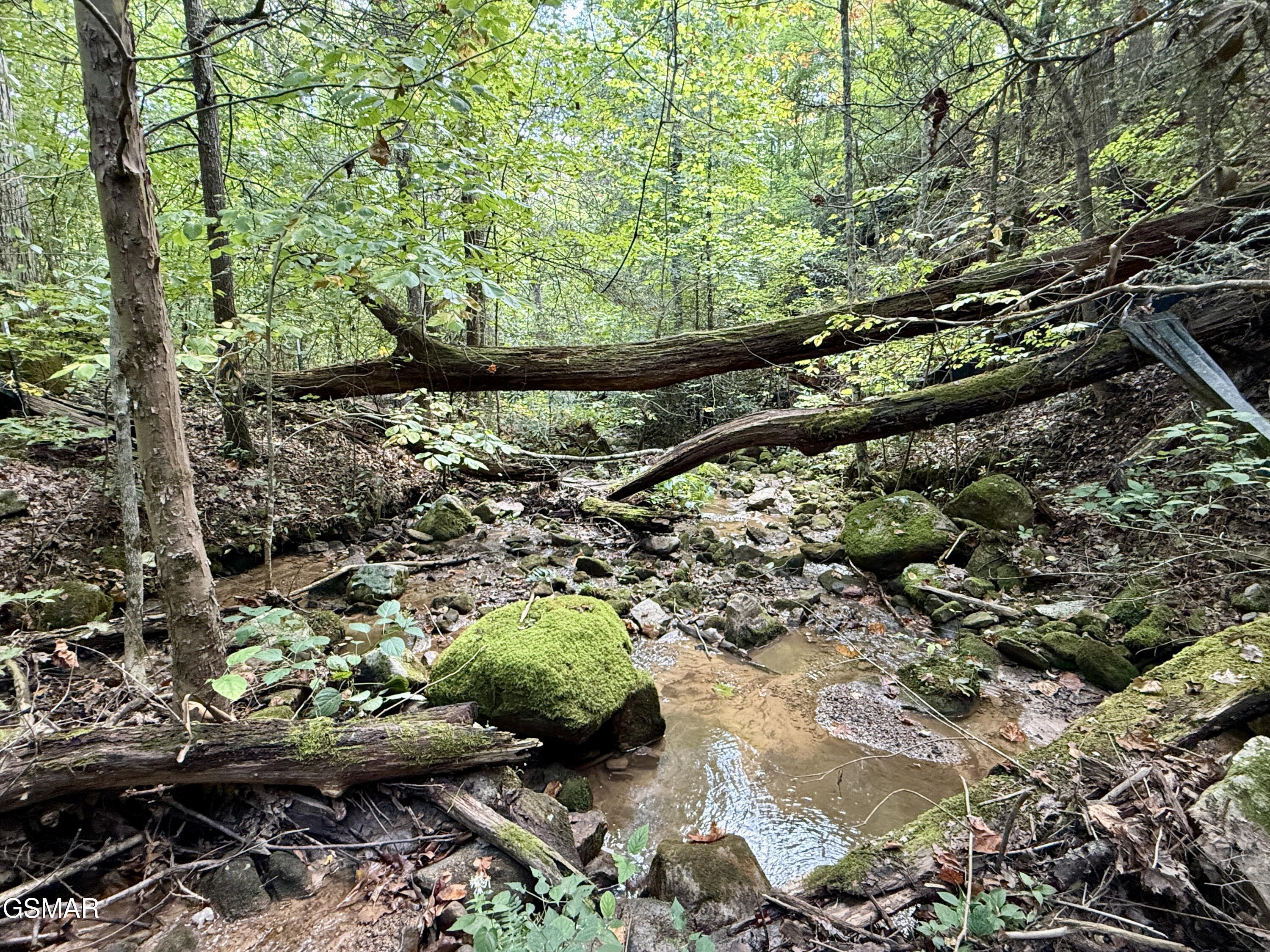 Lot 154 Summit Trails Drive Sevierville TN 37862