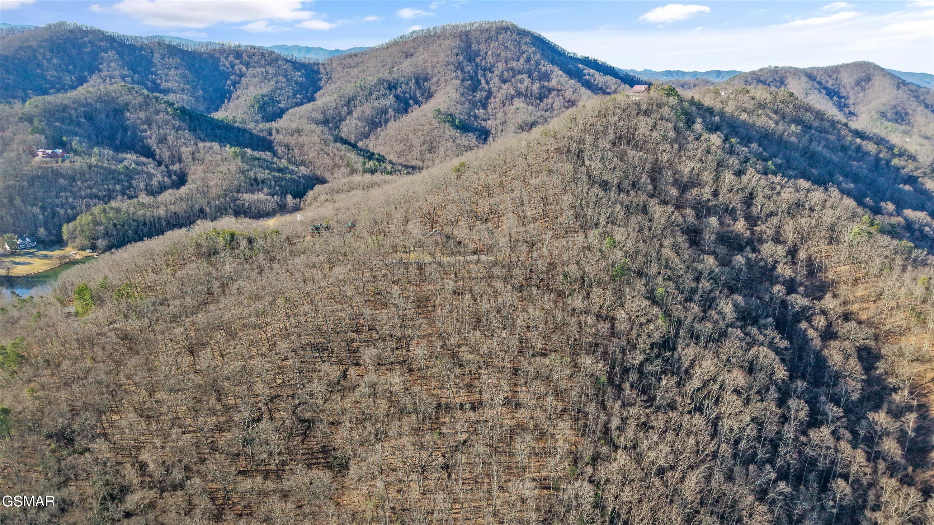 3912 Patriot Lane Sevierville TN 37862