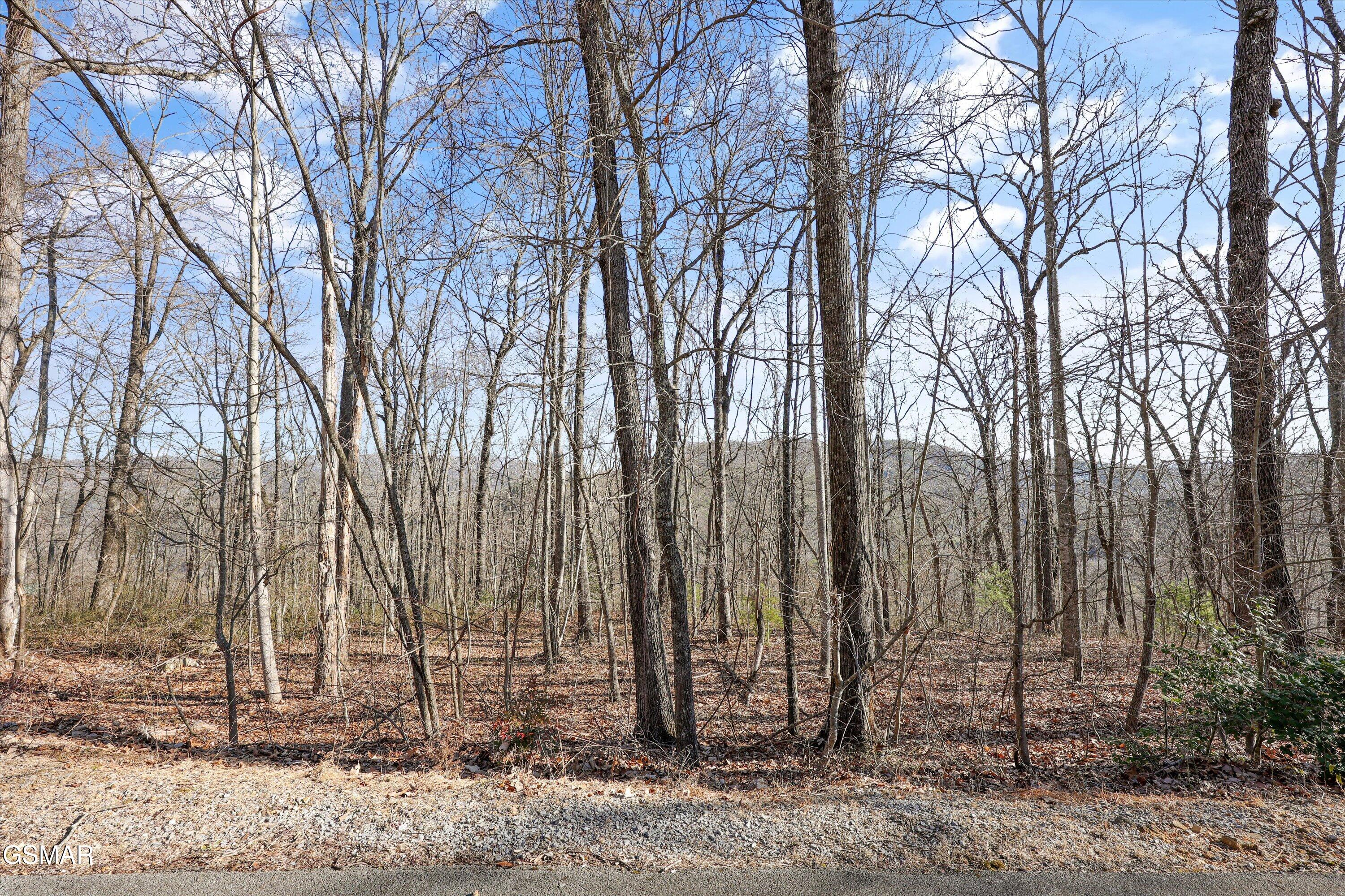 3912 Patriot Lane Sevierville TN 37862
