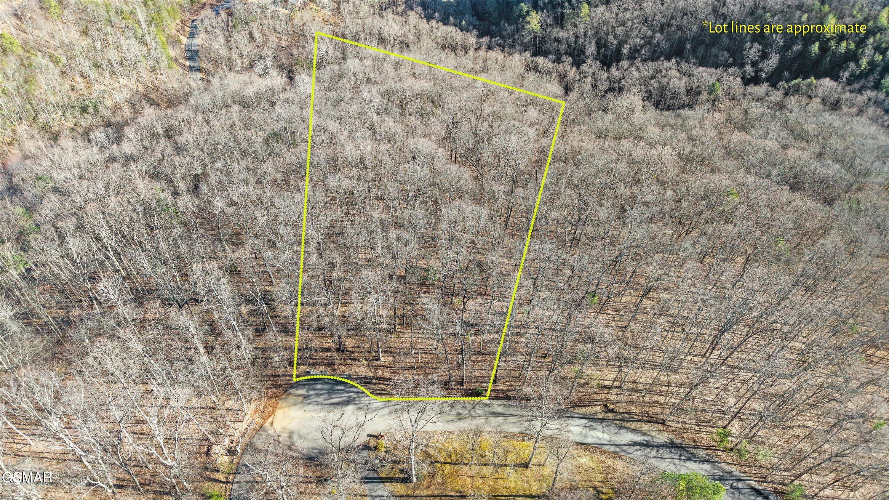 3912 Patriot Lane Sevierville TN 37862