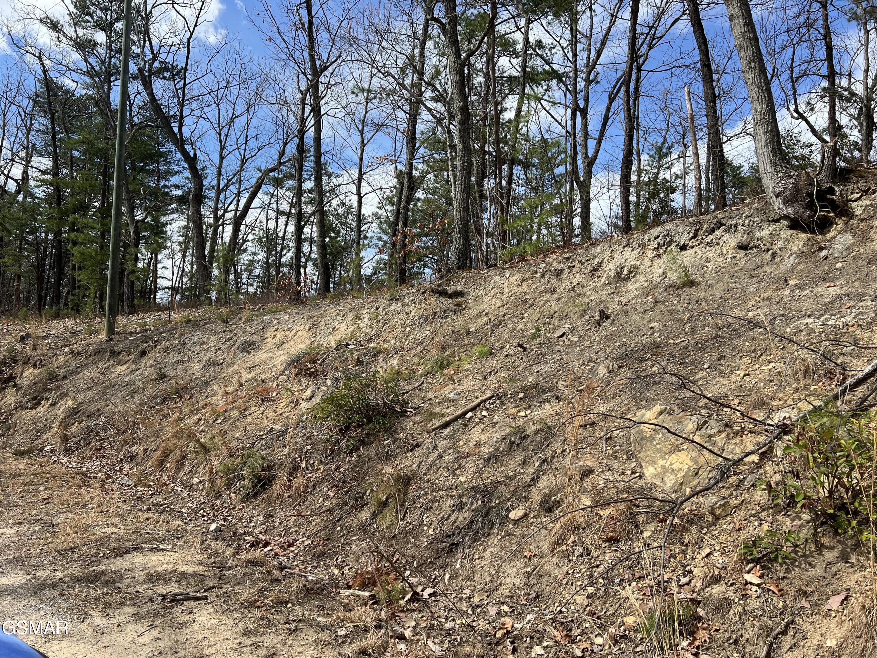 Lot 10-11 Chestnut Ridge Court Sevierville TN 37876