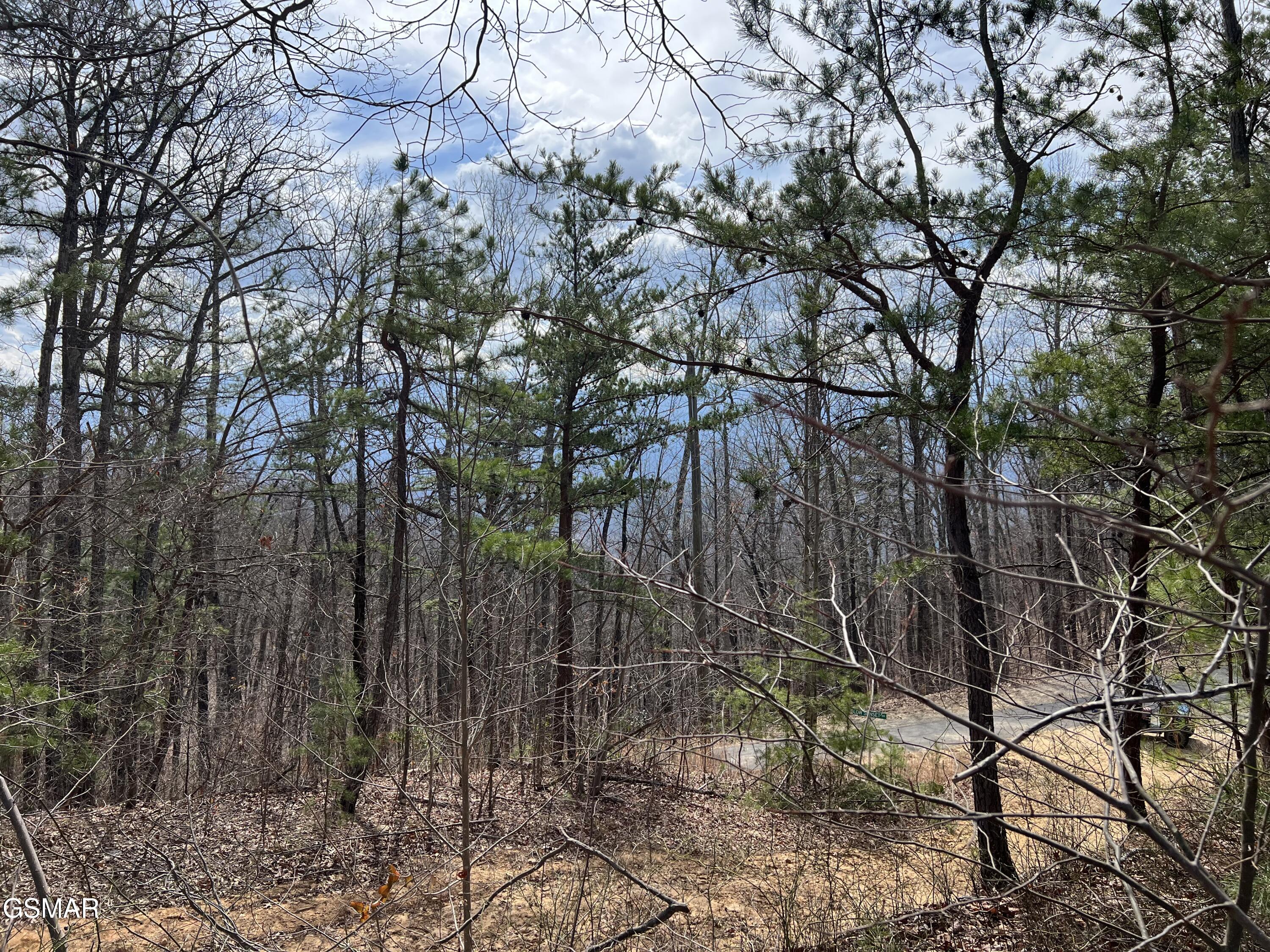 Lot 10-11 Chestnut Ridge Court Sevierville TN 37876