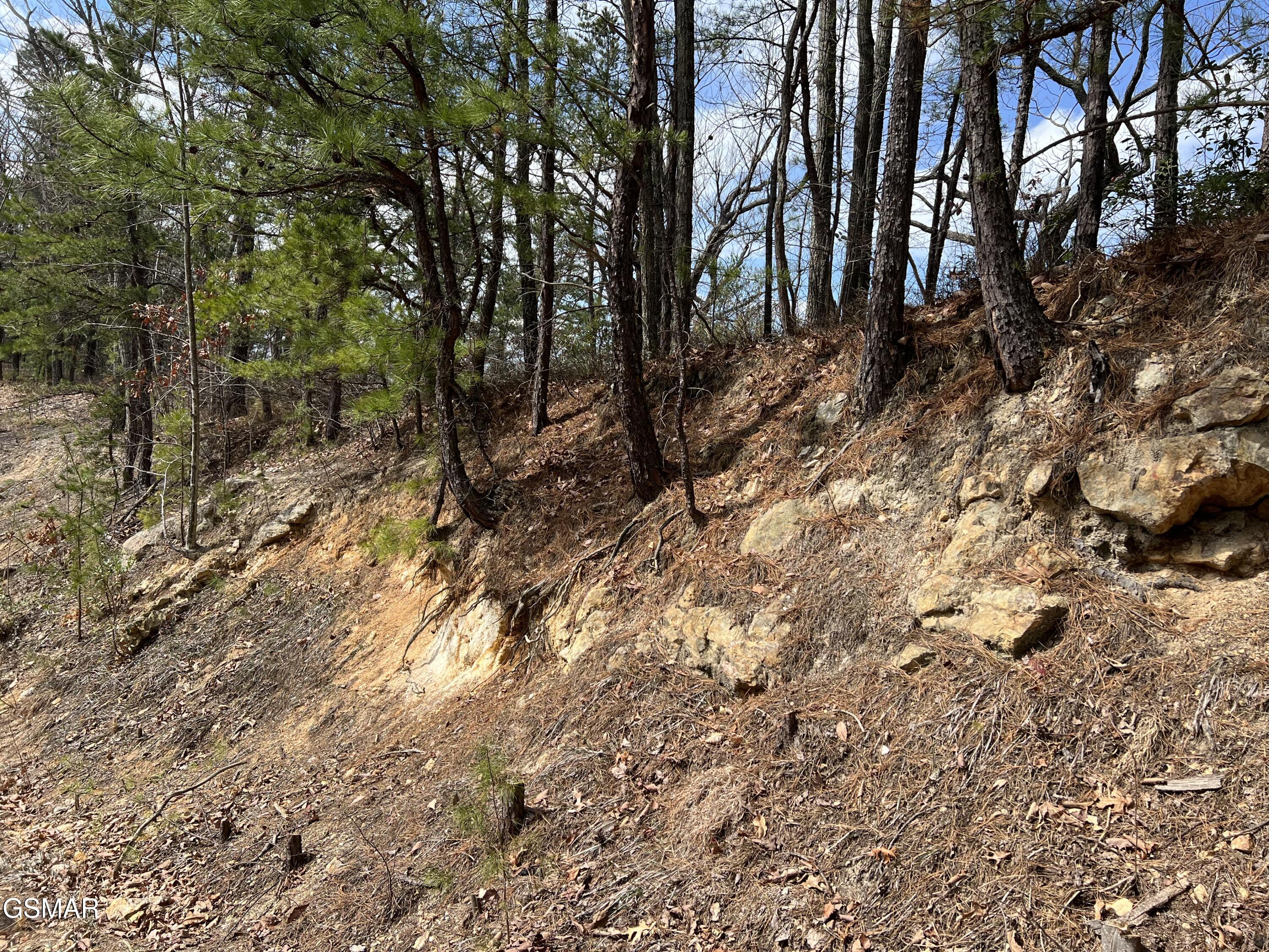 Lot 10-11 Chestnut Ridge Court Sevierville TN 37876