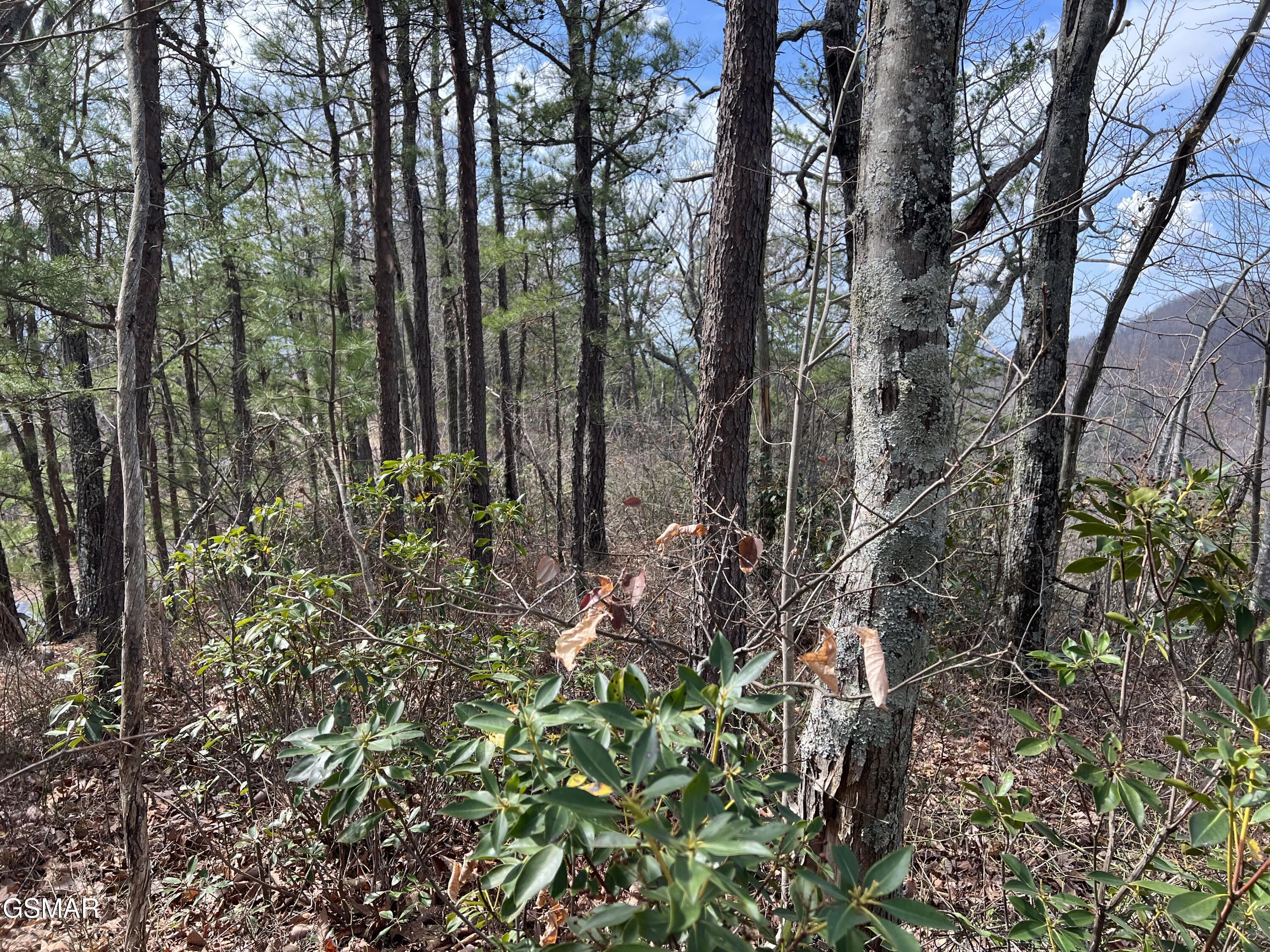 Lot 10-11 Chestnut Ridge Court Sevierville TN 37876