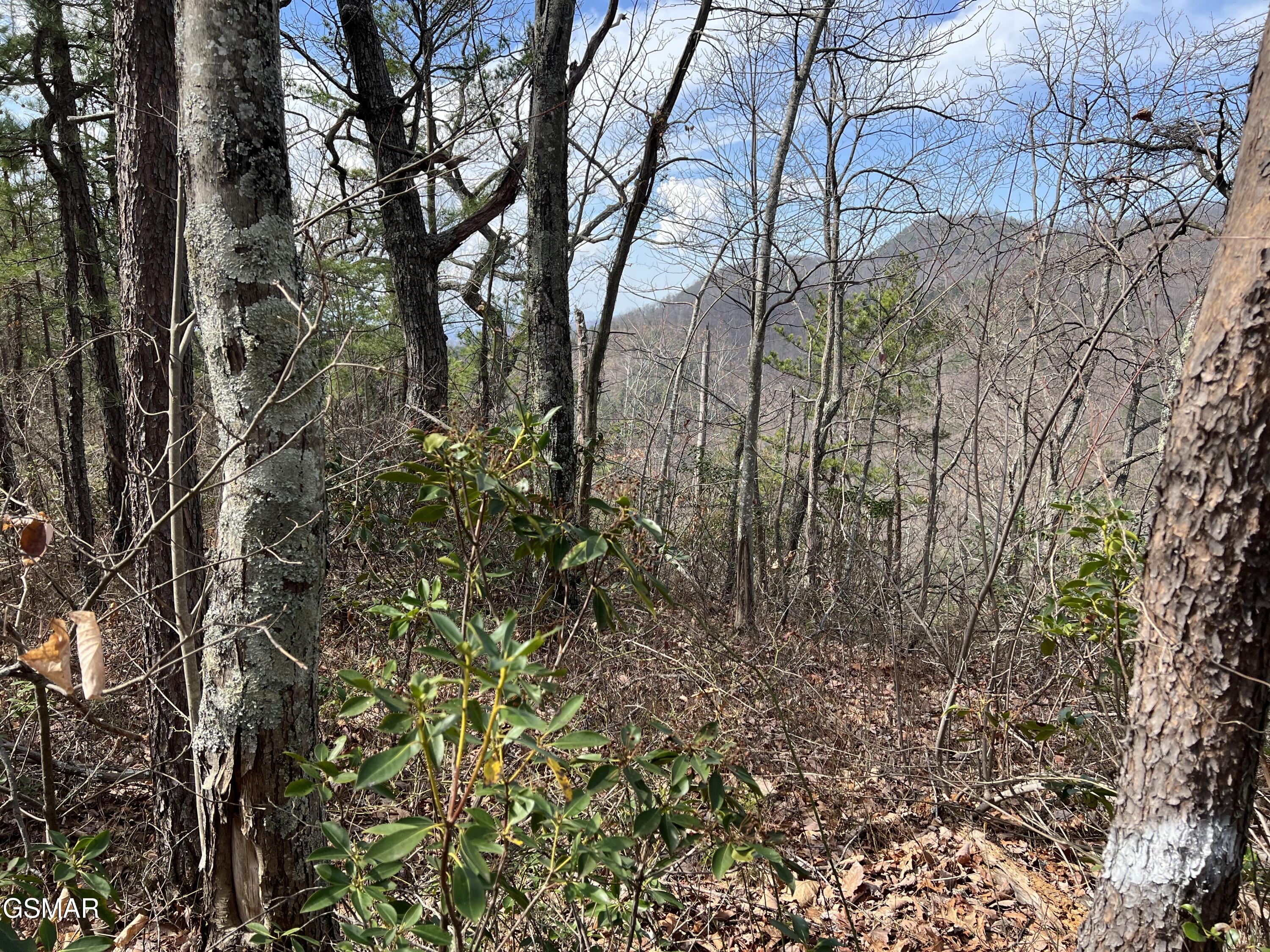 Lot 10-11 Chestnut Ridge Court Sevierville TN 37876