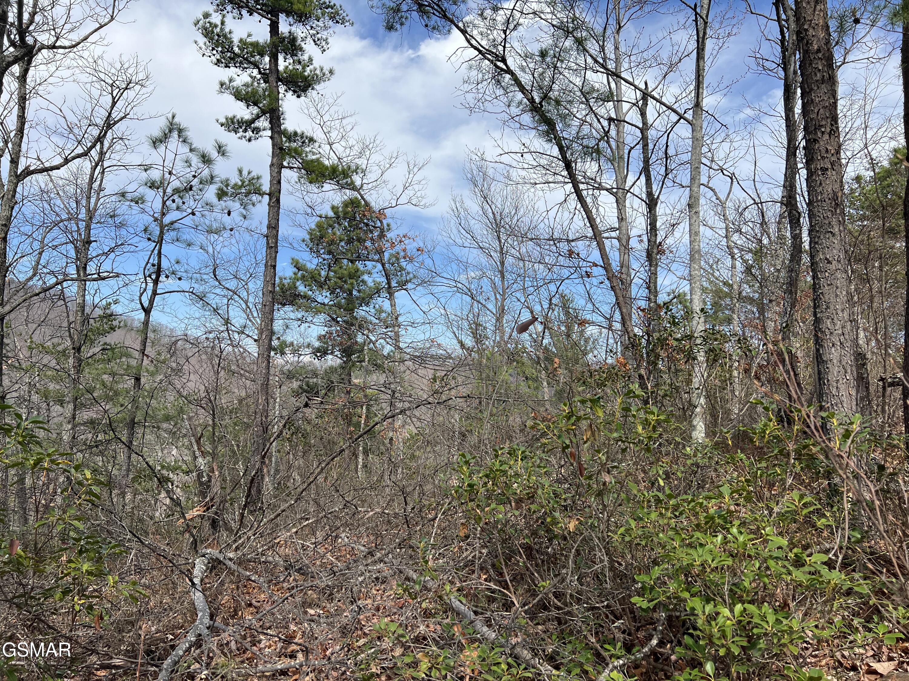 Lot 10-11 Chestnut Ridge Court Sevierville TN 37876