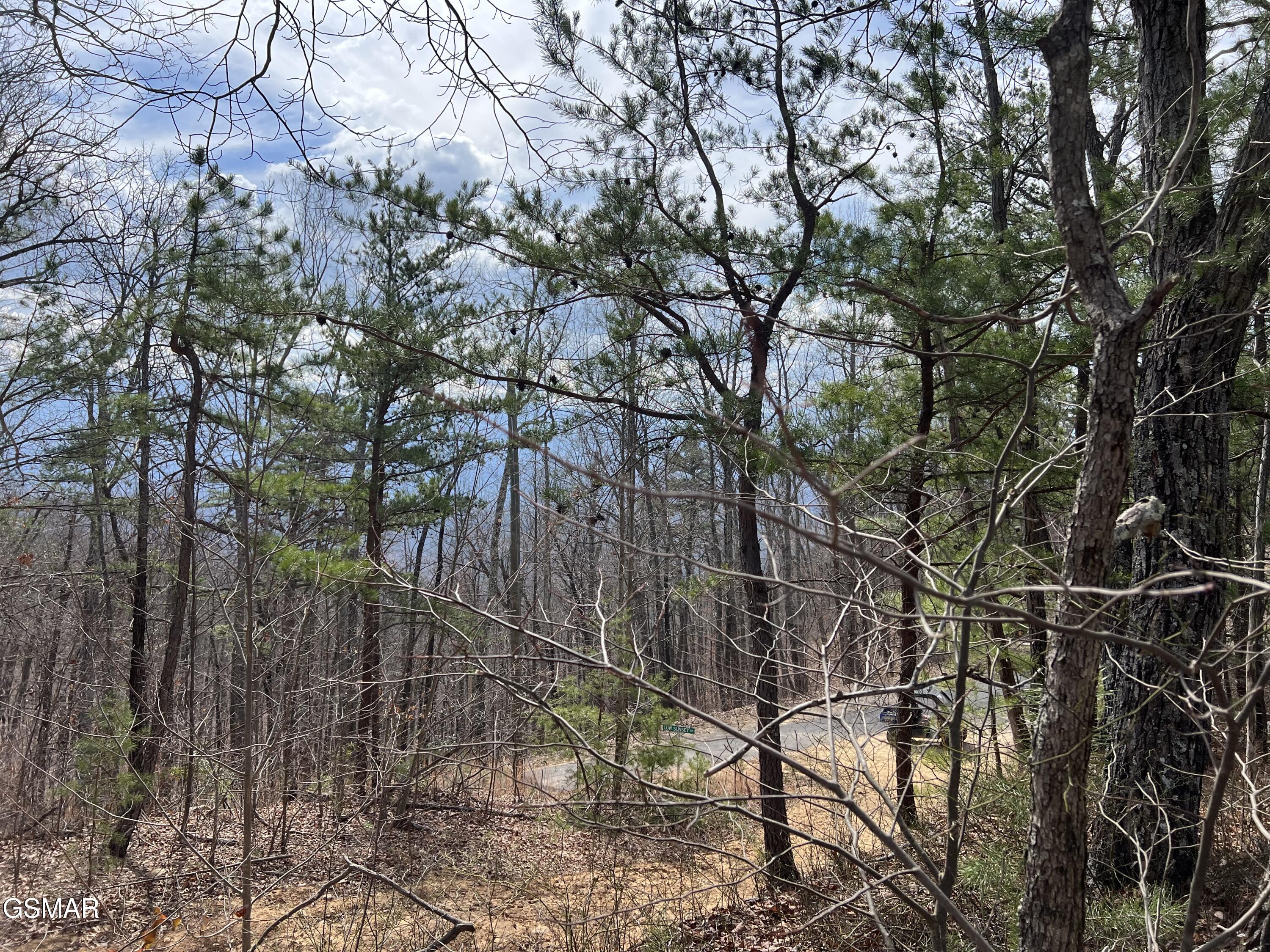 Lot 10-11 Chestnut Ridge Court Sevierville TN 37876