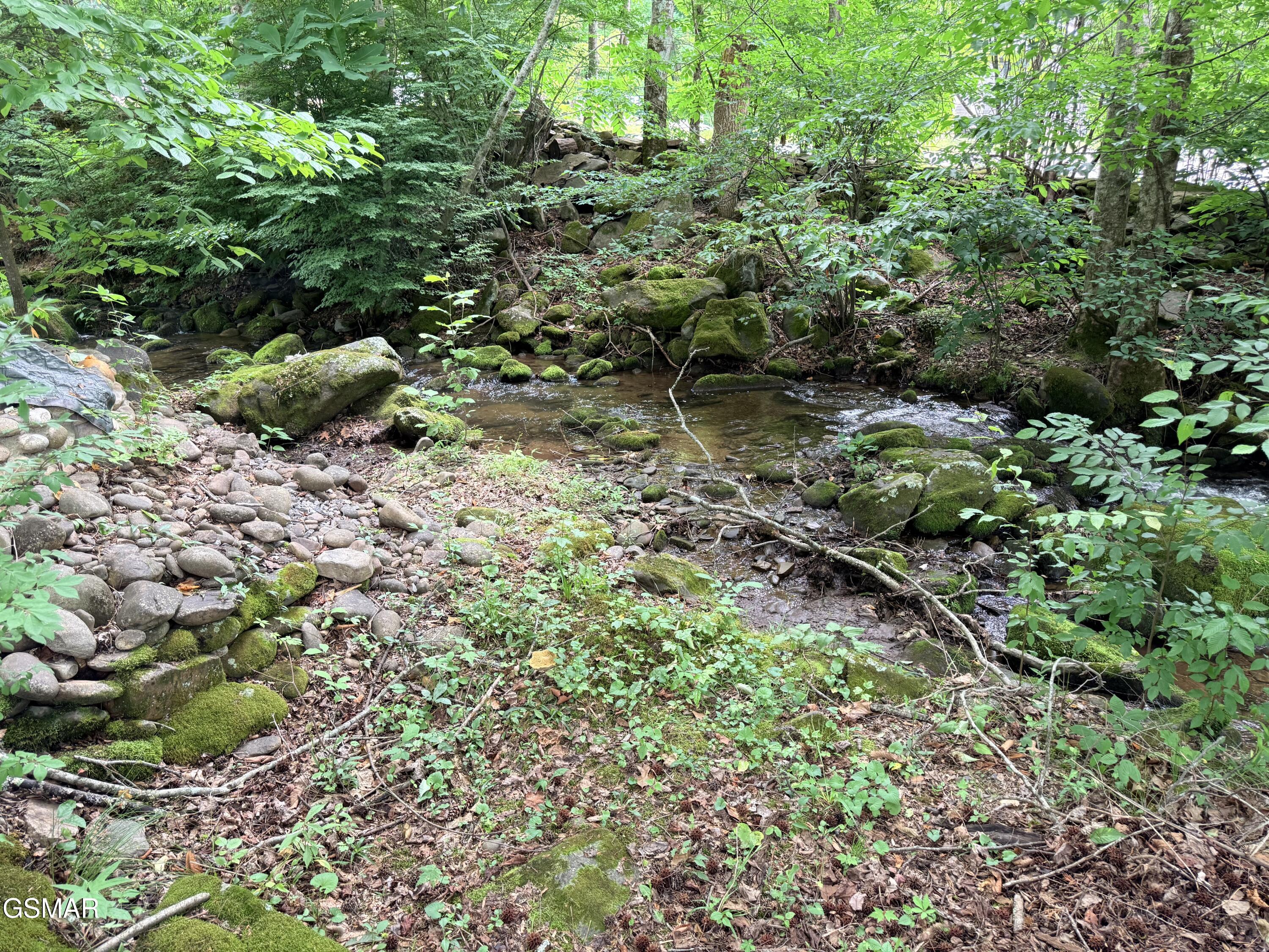4229 E Parkway #44 Gatlinburg TN 37738