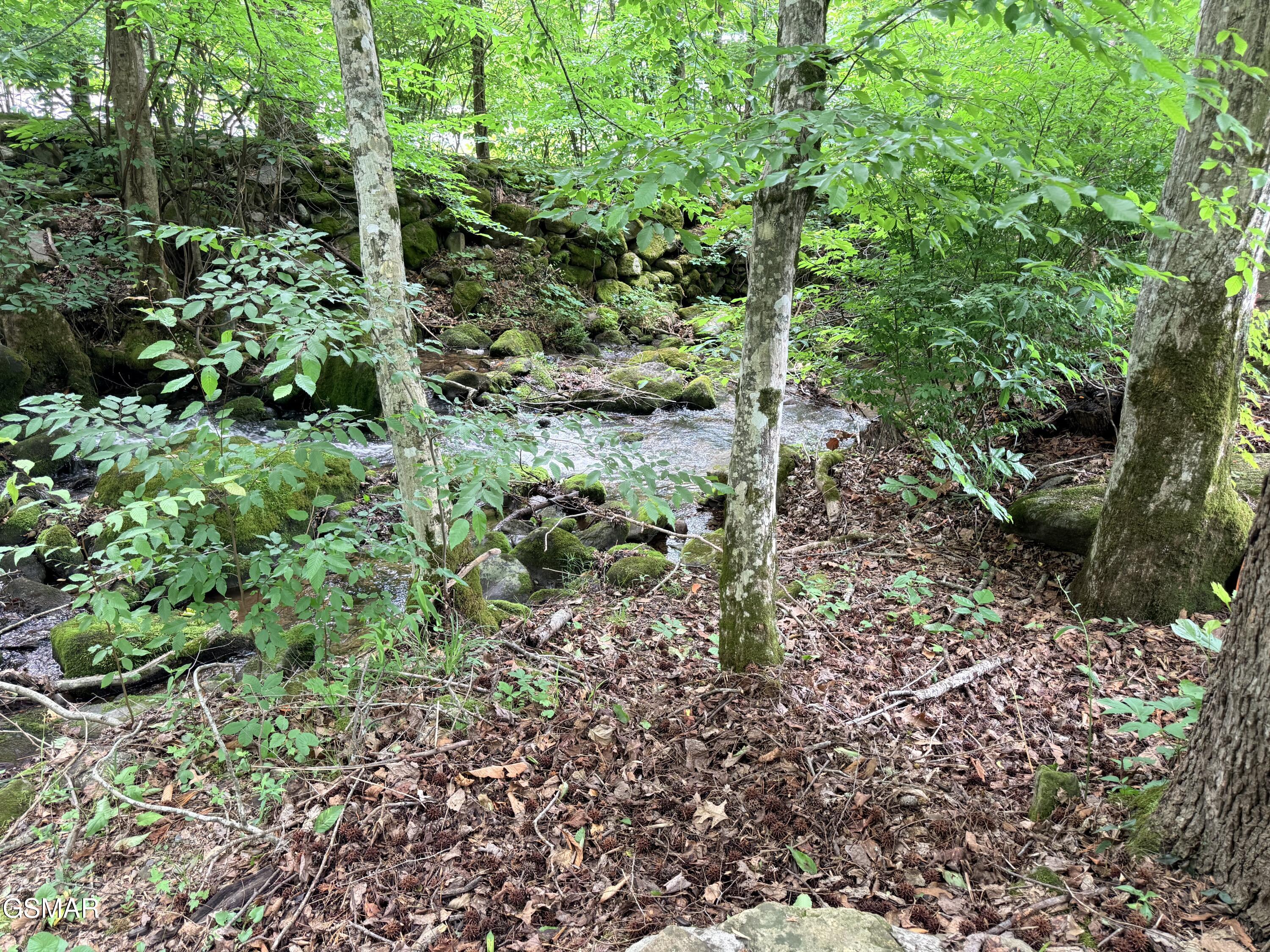 4229 E Parkway #44 Gatlinburg TN 37738