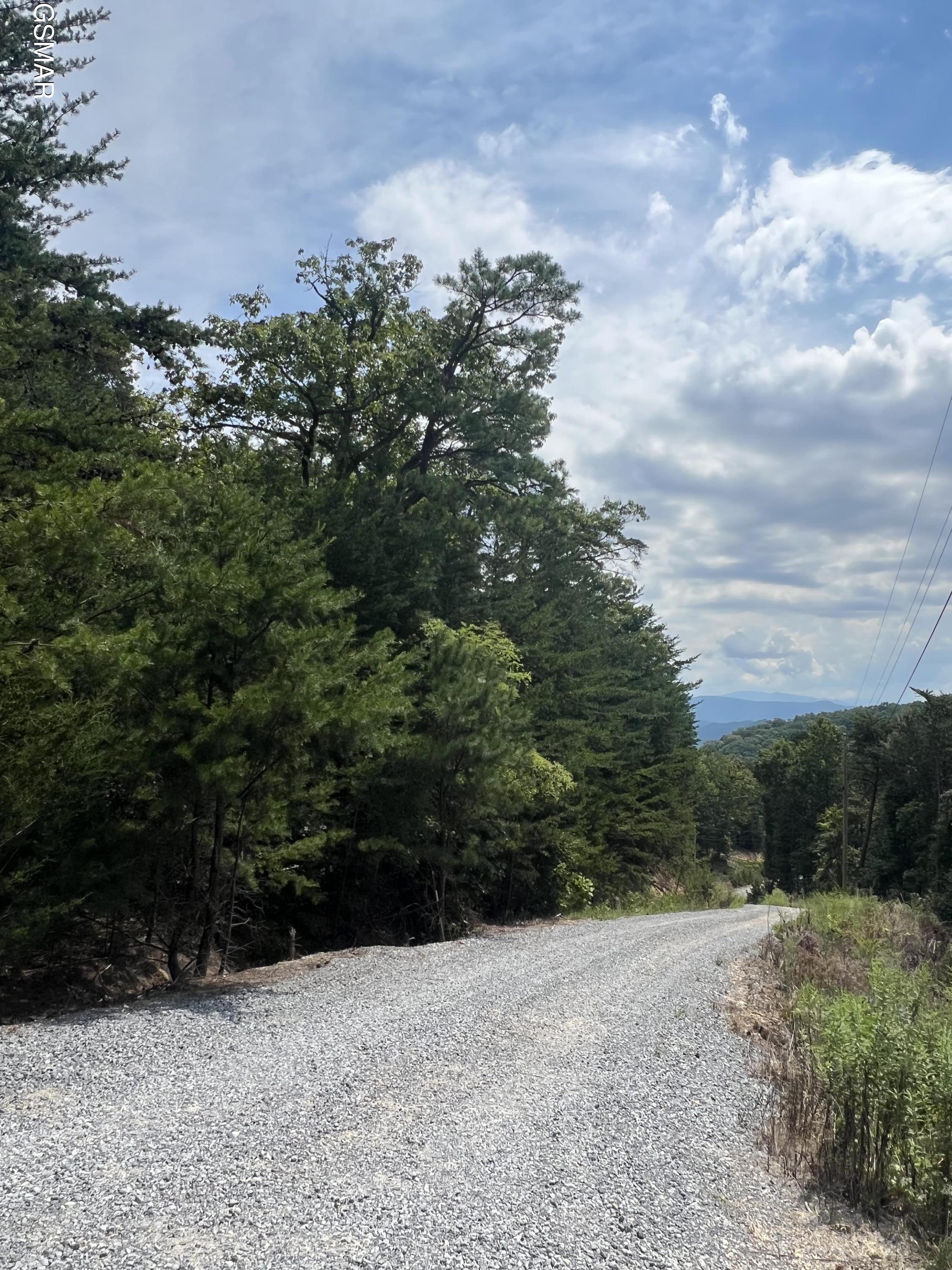992 Bogard Creek Road Cosby TN 37722