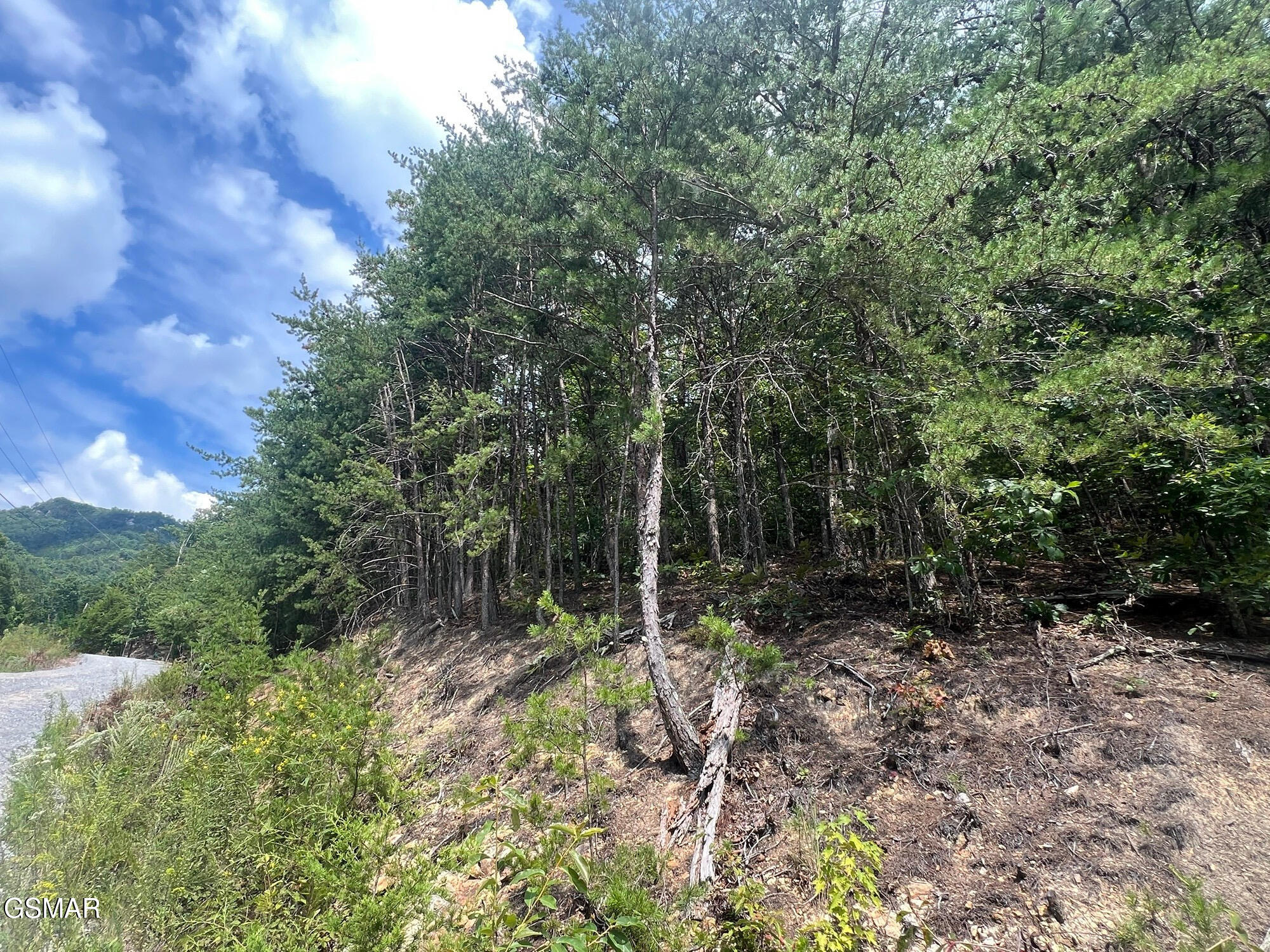 992 Bogard Creek Road Cosby TN 37722