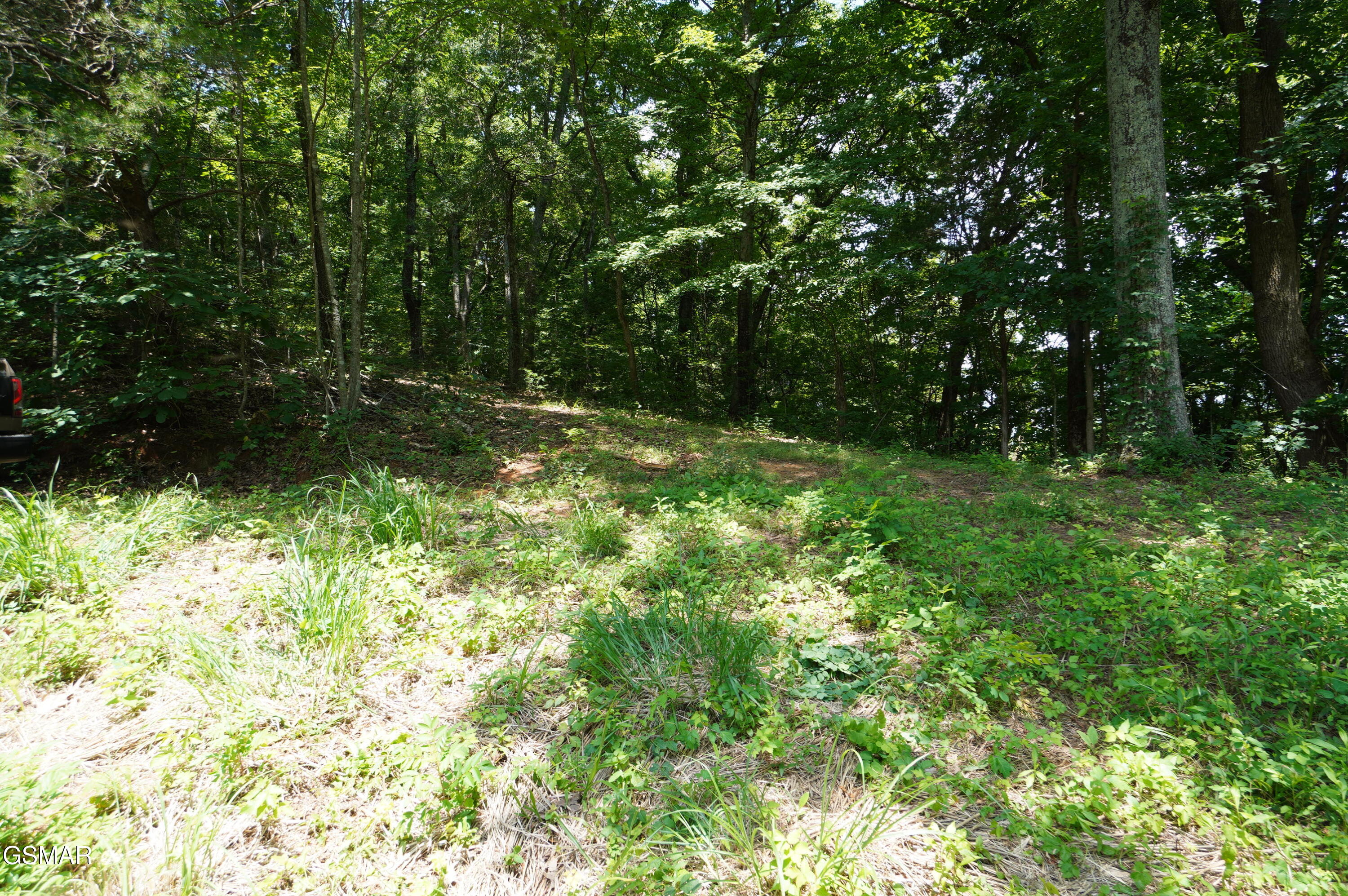 00 Rhyne Camp Road Newport TN 37821