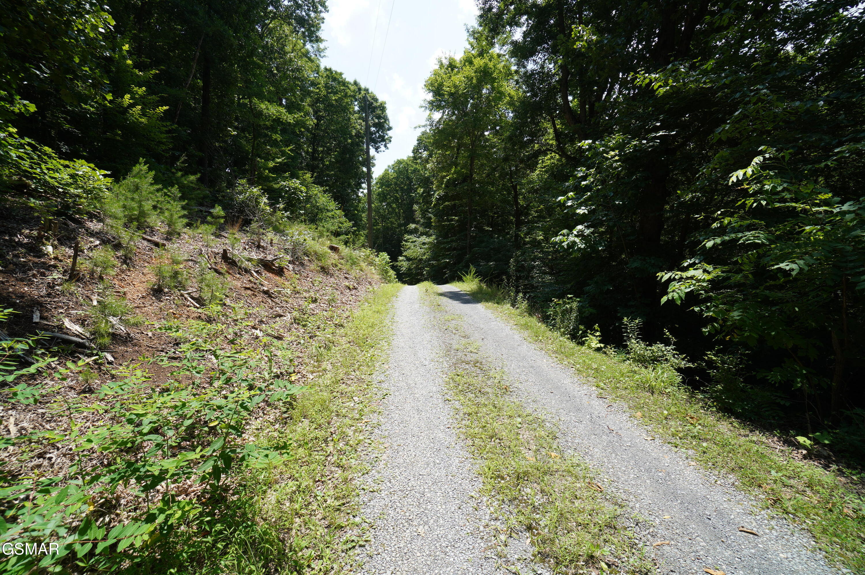 00 Rhyne Camp Road Newport TN 37821