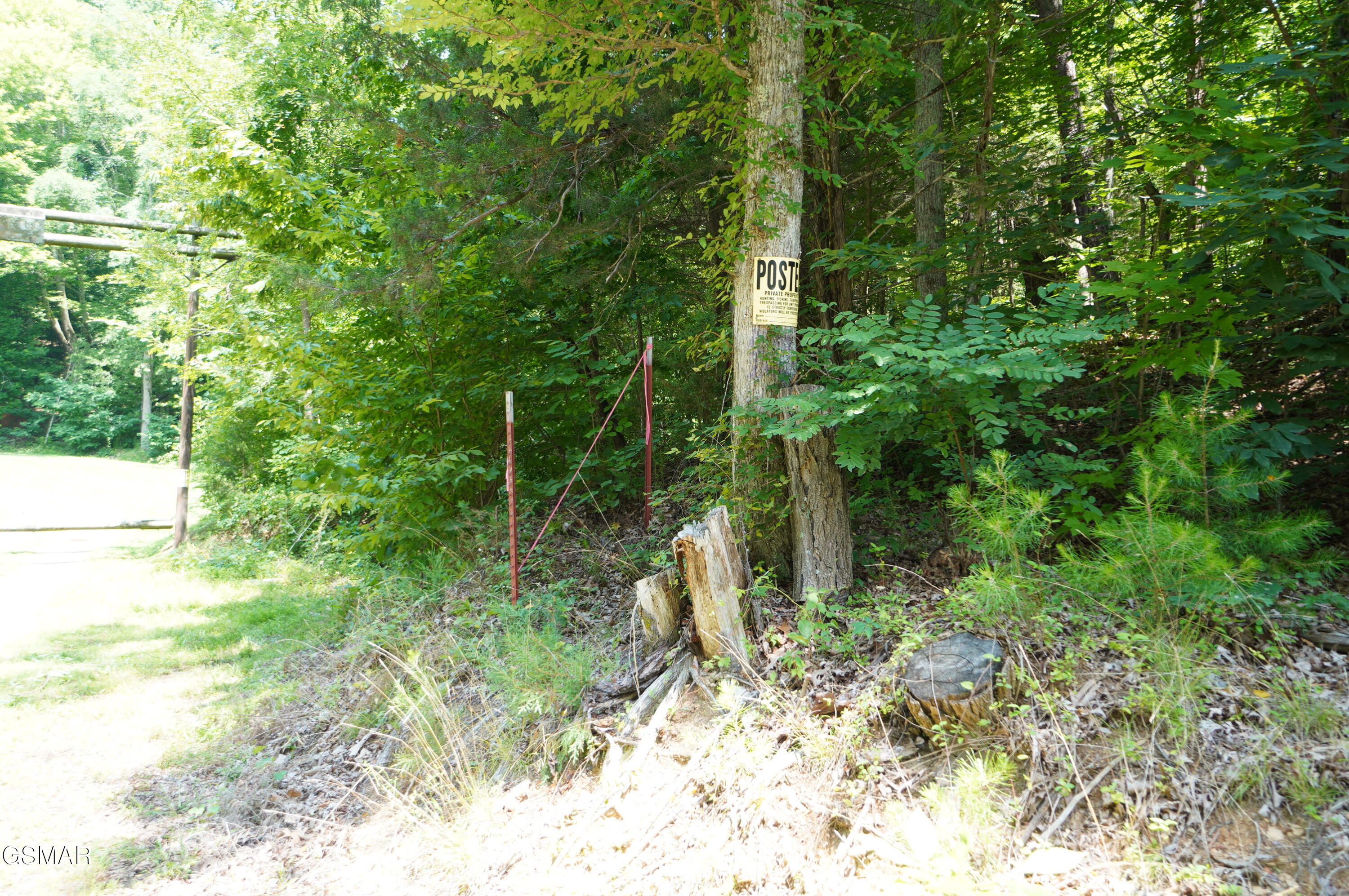 00 Rhyne Camp Road Newport TN 37821