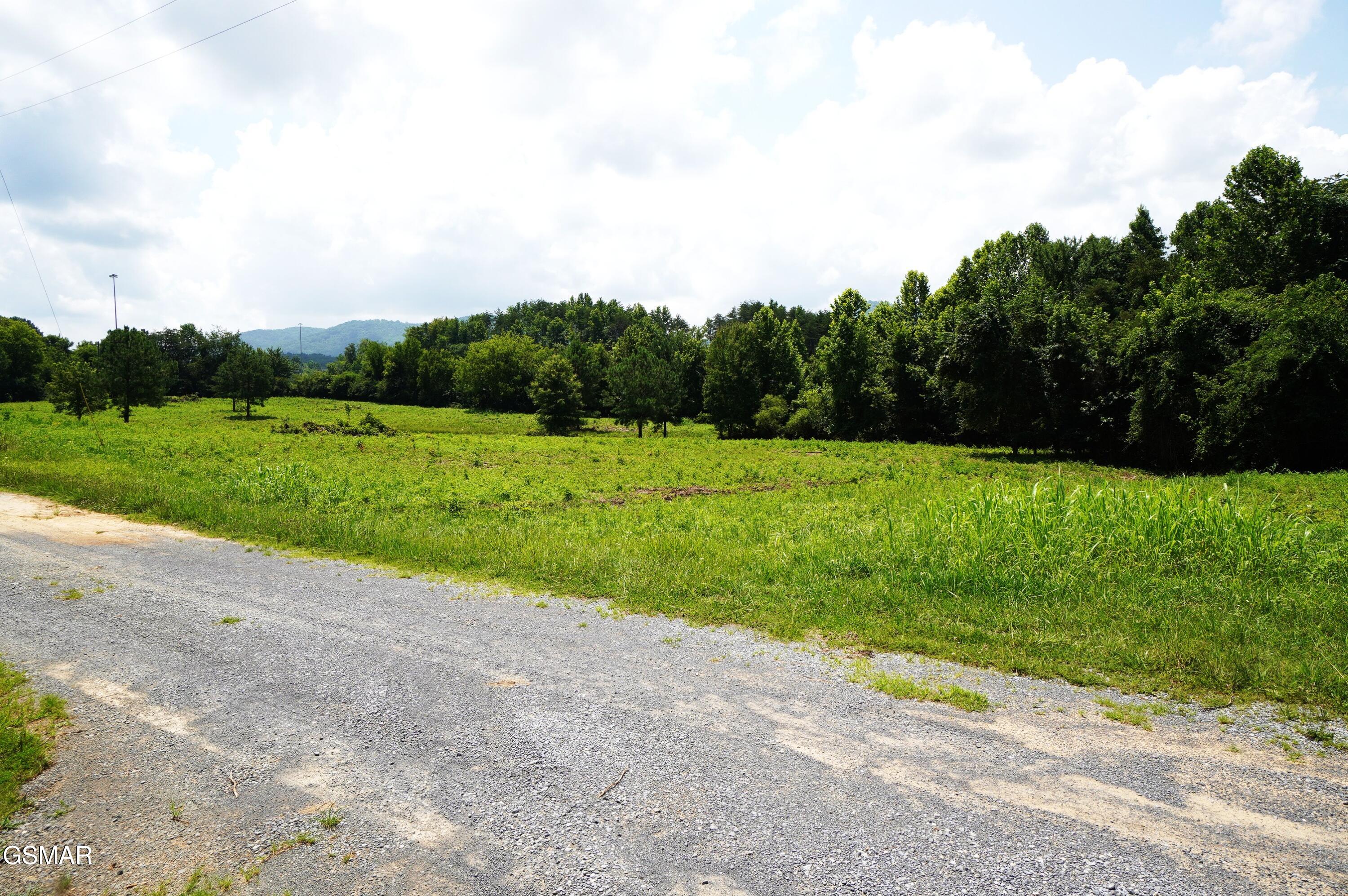 00 Rhyne Camp Road Newport TN 37821