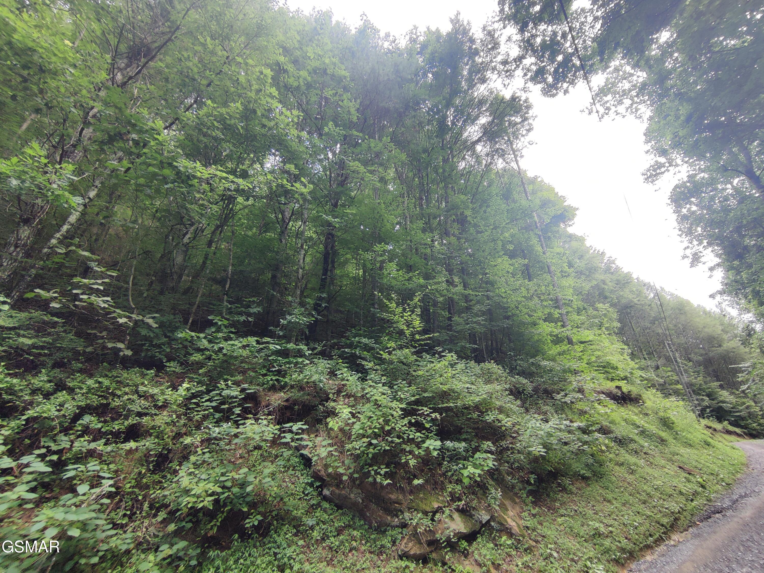 0 Old Hag Hollow Way Sevierville TN 37876