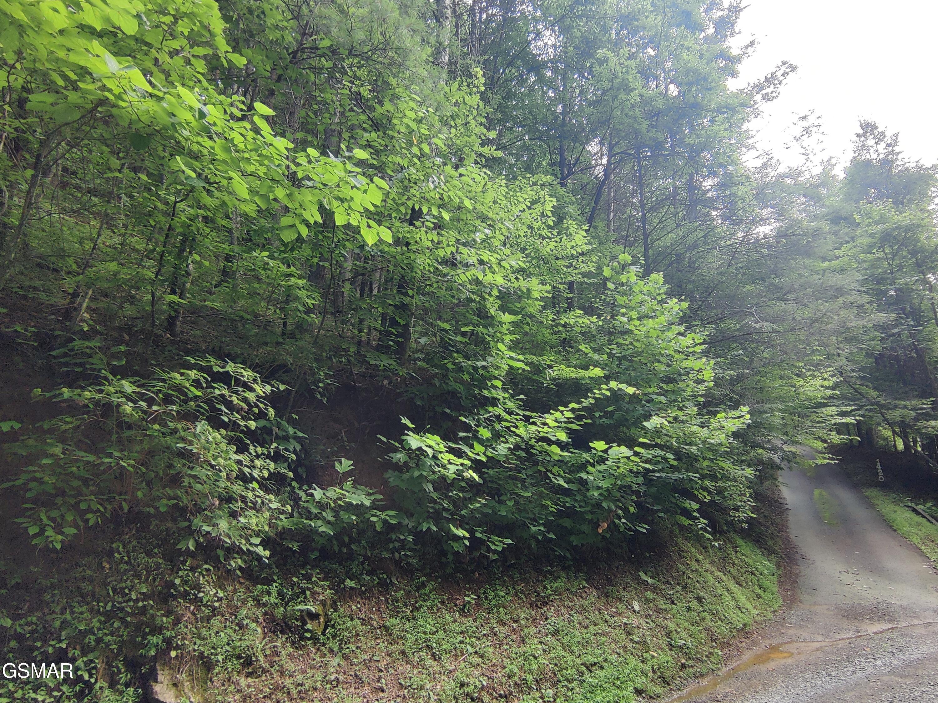 0 Old Hag Hollow Way Sevierville TN 37876