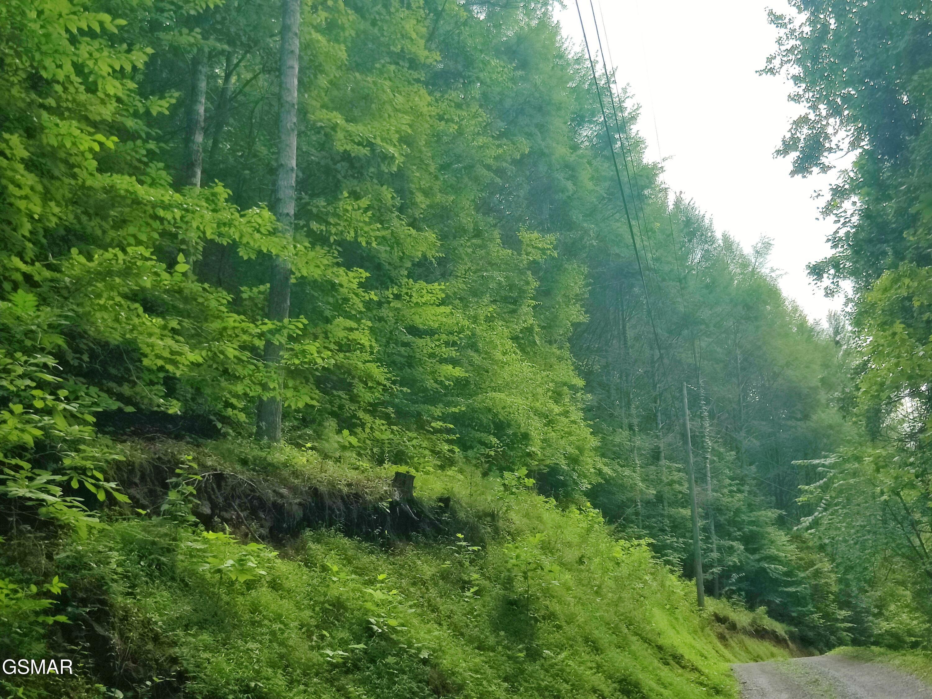 0 Old Hag Hollow Way Sevierville TN 37876