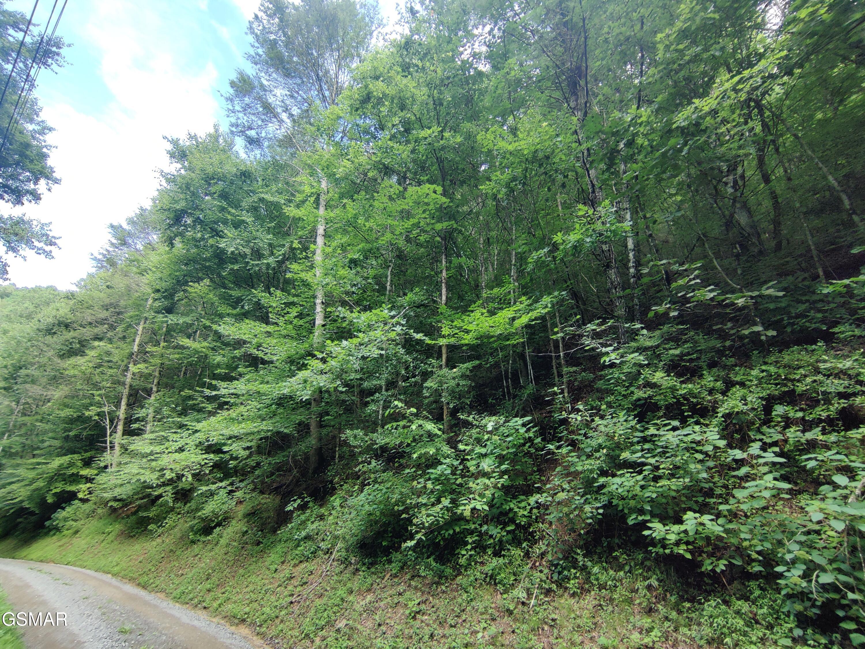 0 Old Hag Hollow Way Sevierville TN 37876