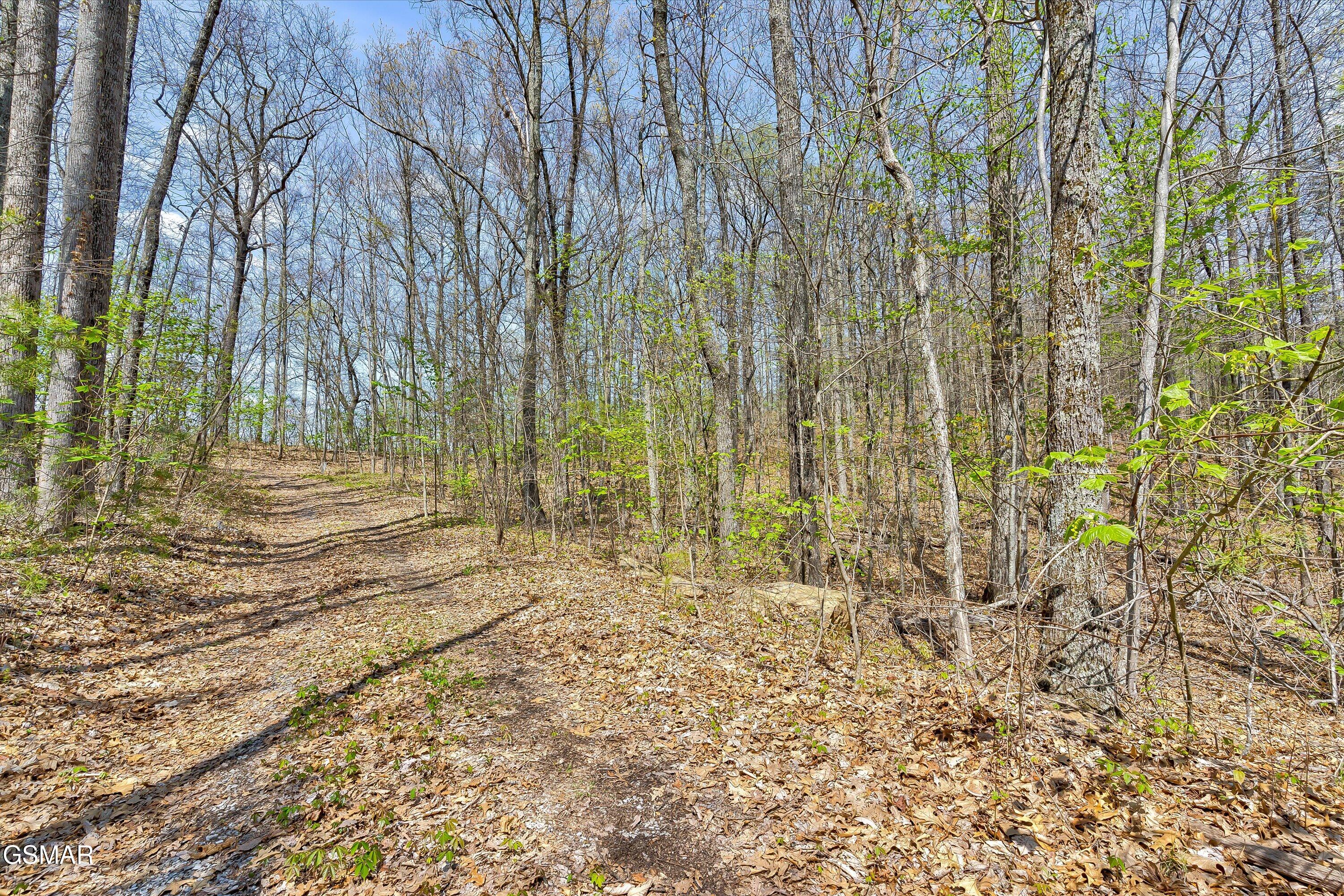 Lot 125e Settlers View Lane Sevierville TN 37862