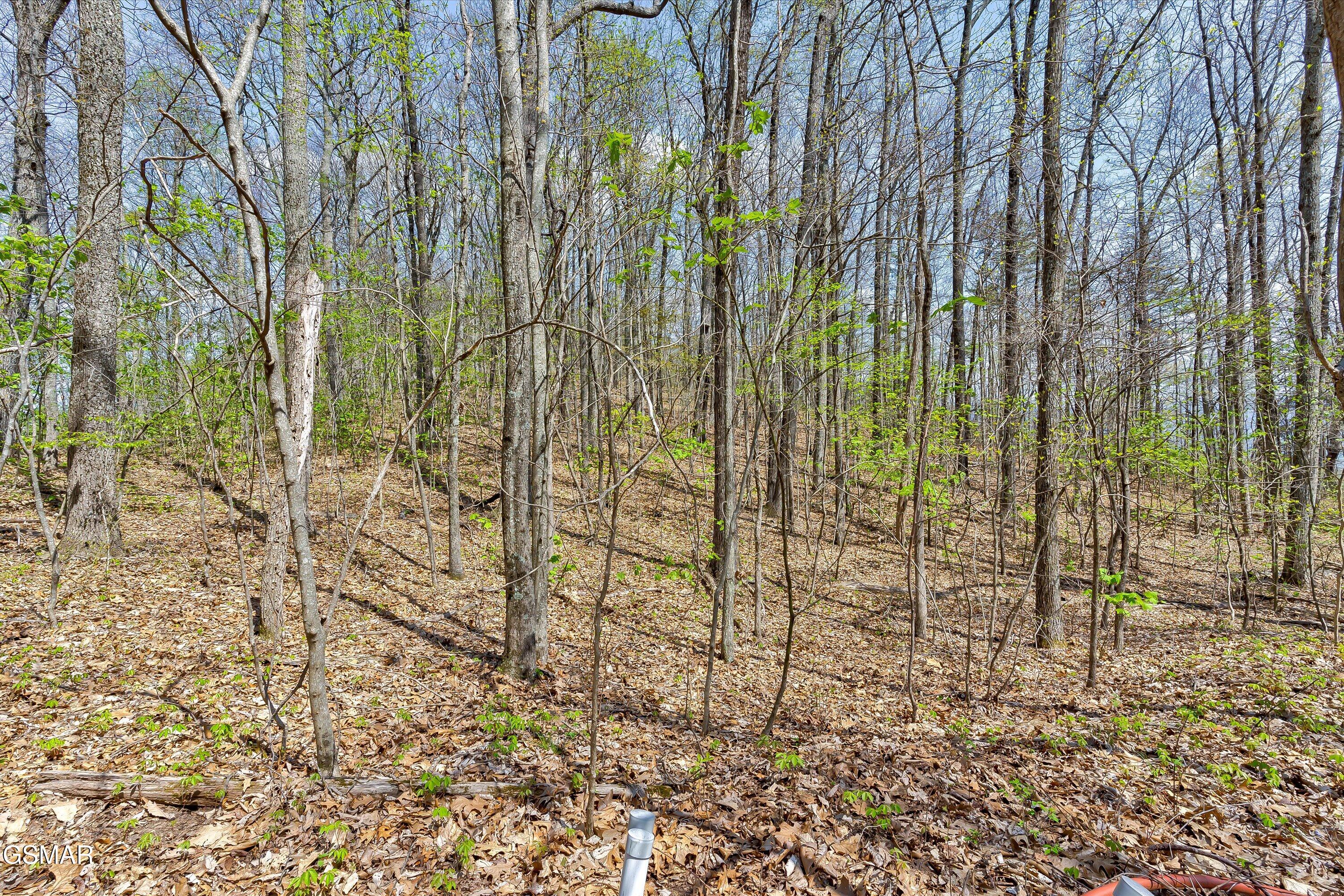 Lot 125e Settlers View Lane Sevierville TN 37862