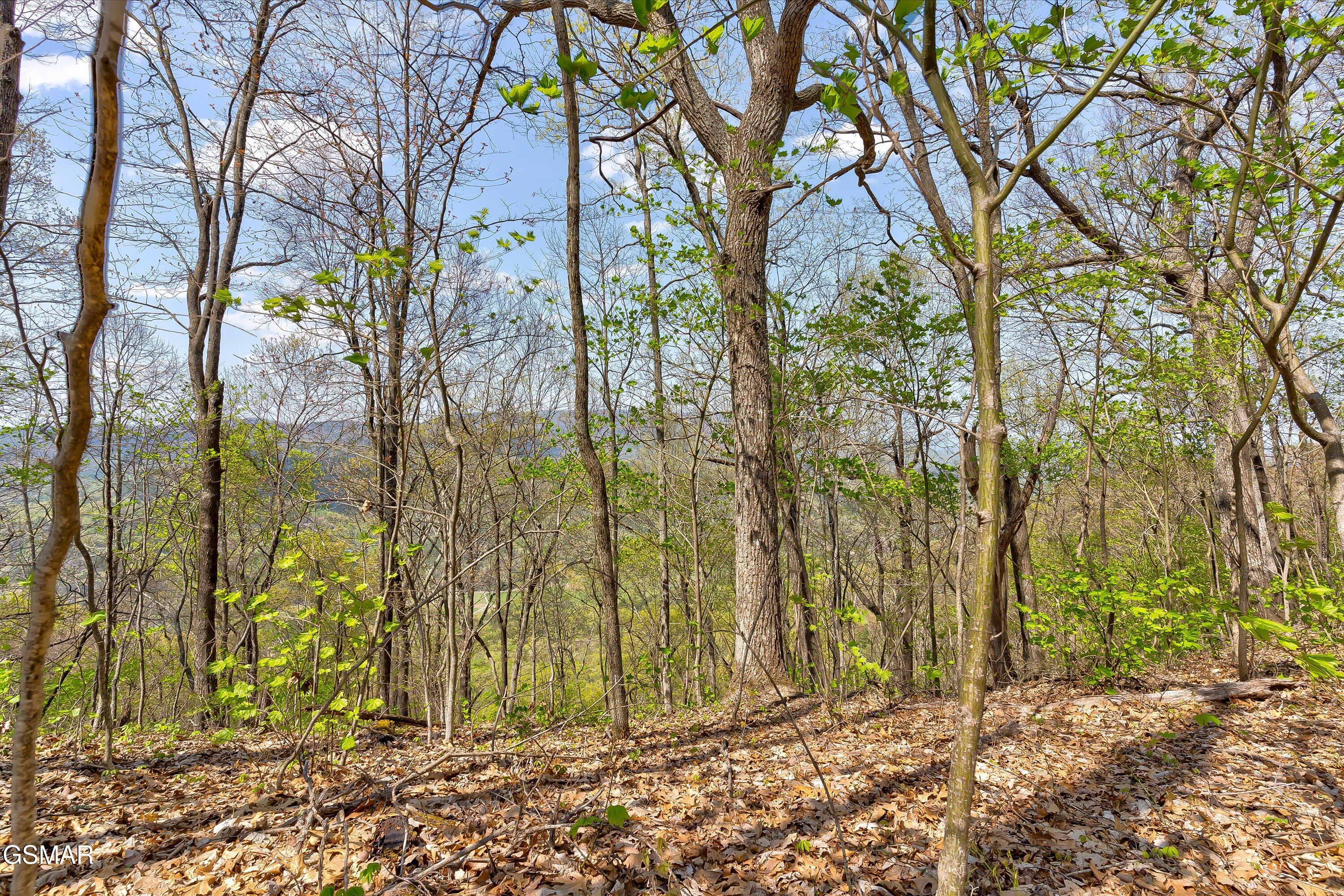 Lot 125e Settlers View Lane Sevierville TN 37862