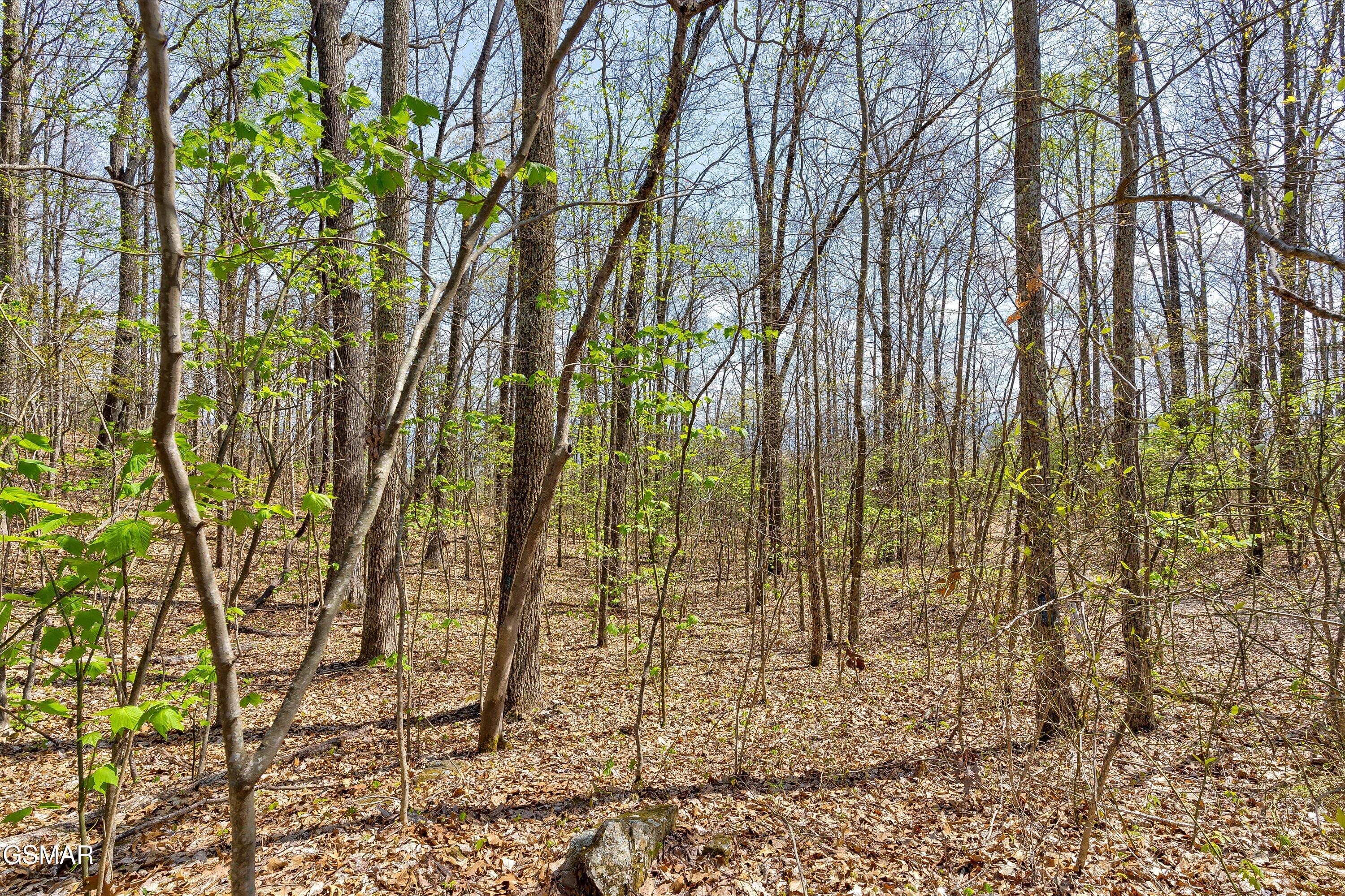 Lot 125e Settlers View Lane Sevierville TN 37862