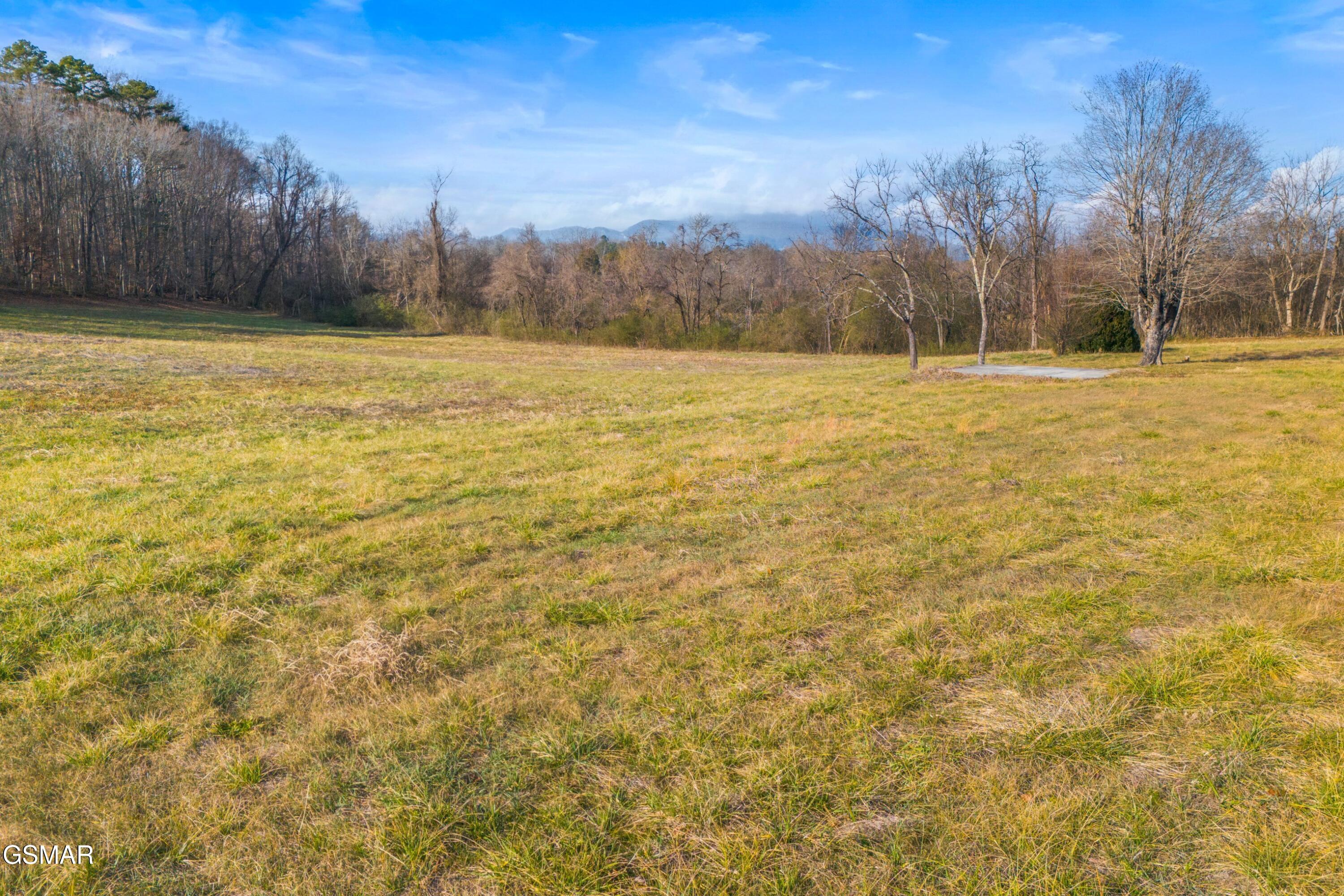 4121 Chavis Road Cosby TN 37722