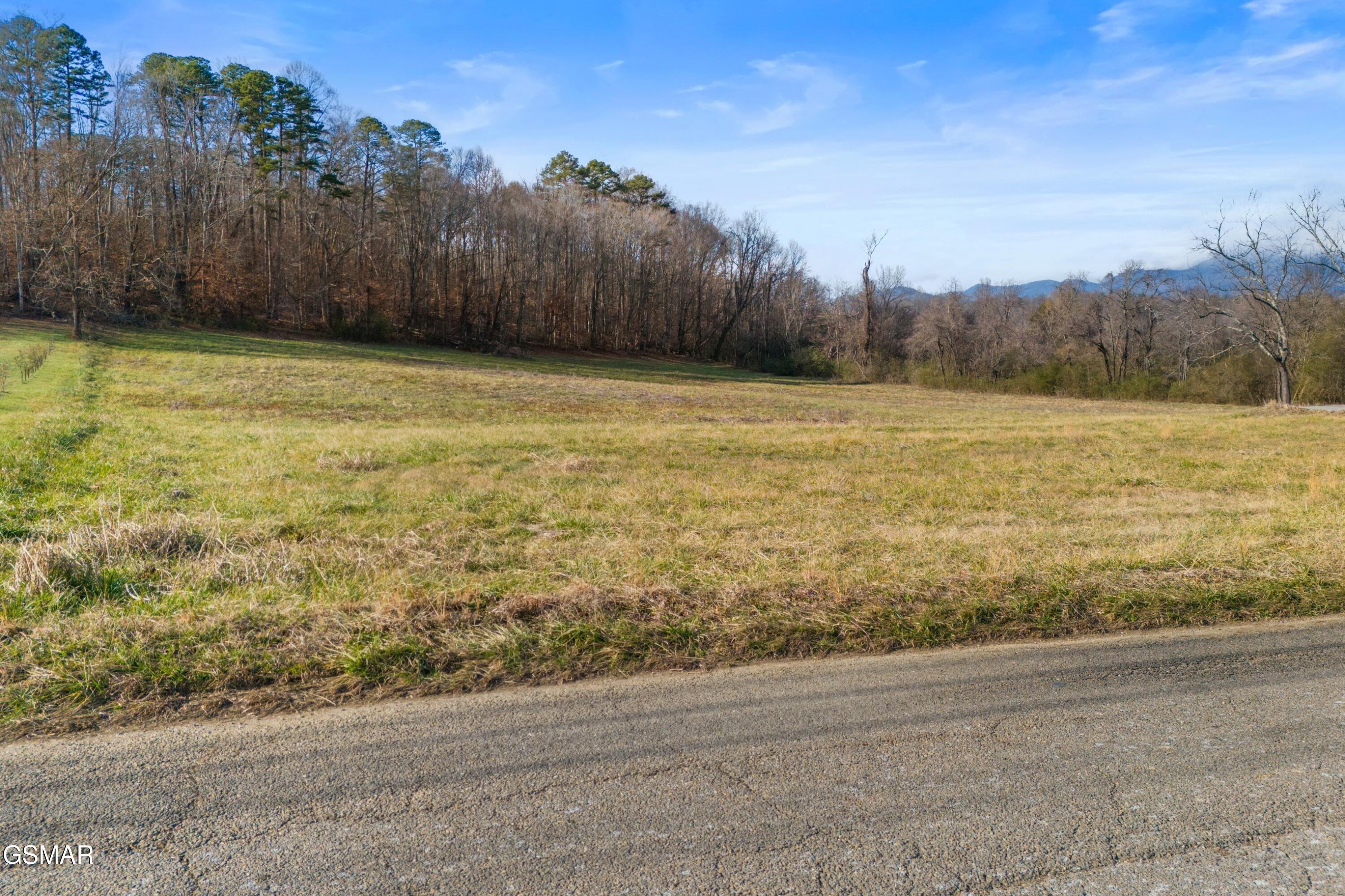 4121 Chavis Road Cosby TN 37722