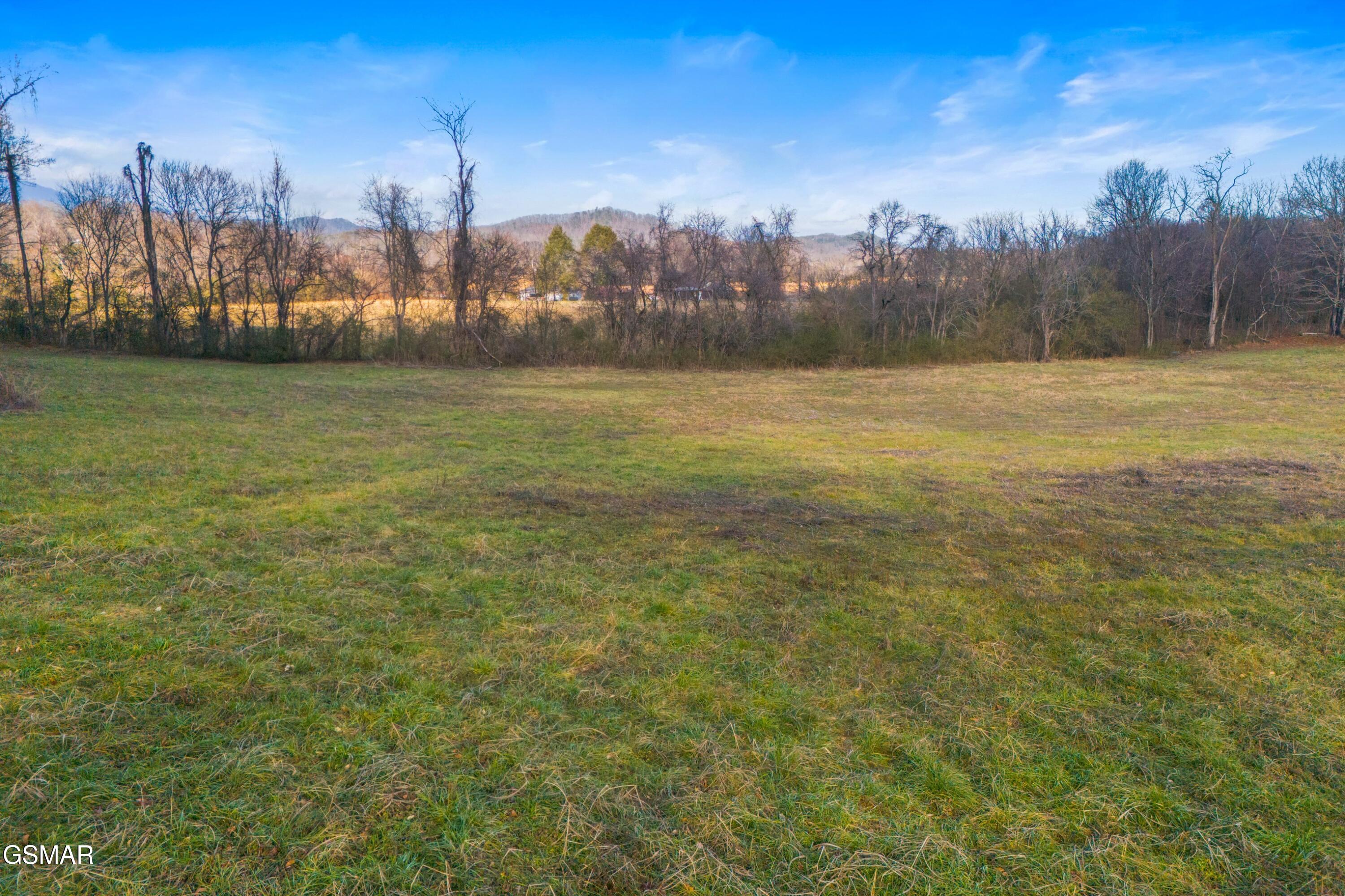 4121 Chavis Road Cosby TN 37722