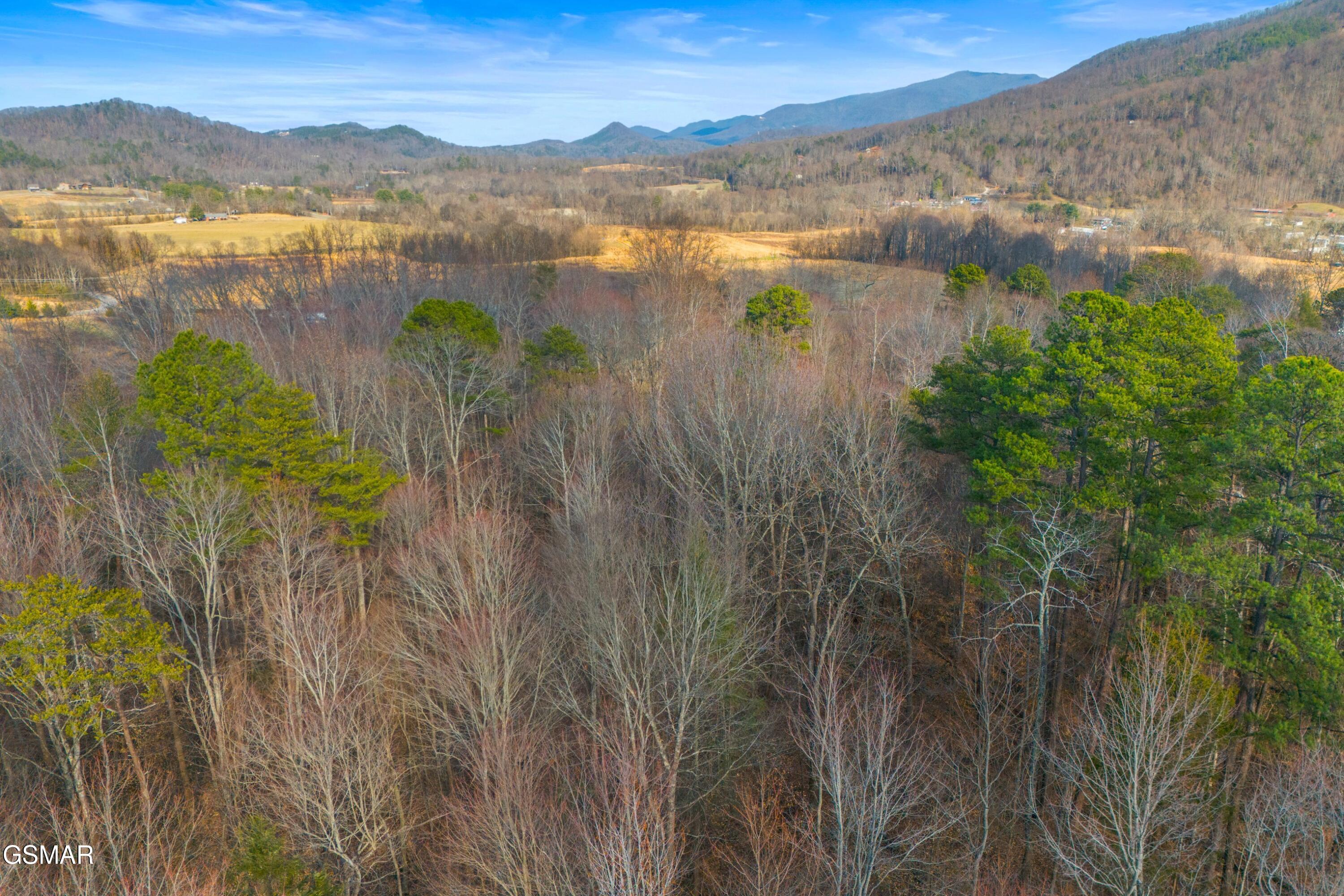 4121 Chavis Road Cosby TN 37722