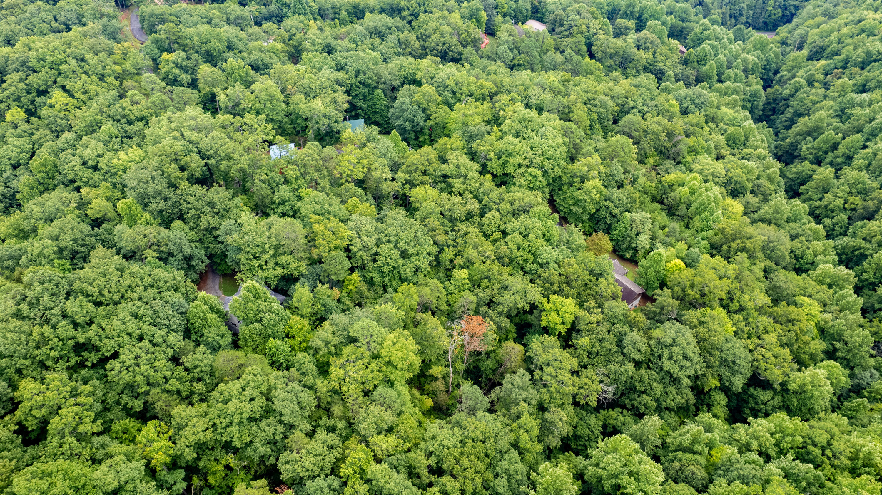 Lot 11 Spring Hill Drive Sevierville TN 37876