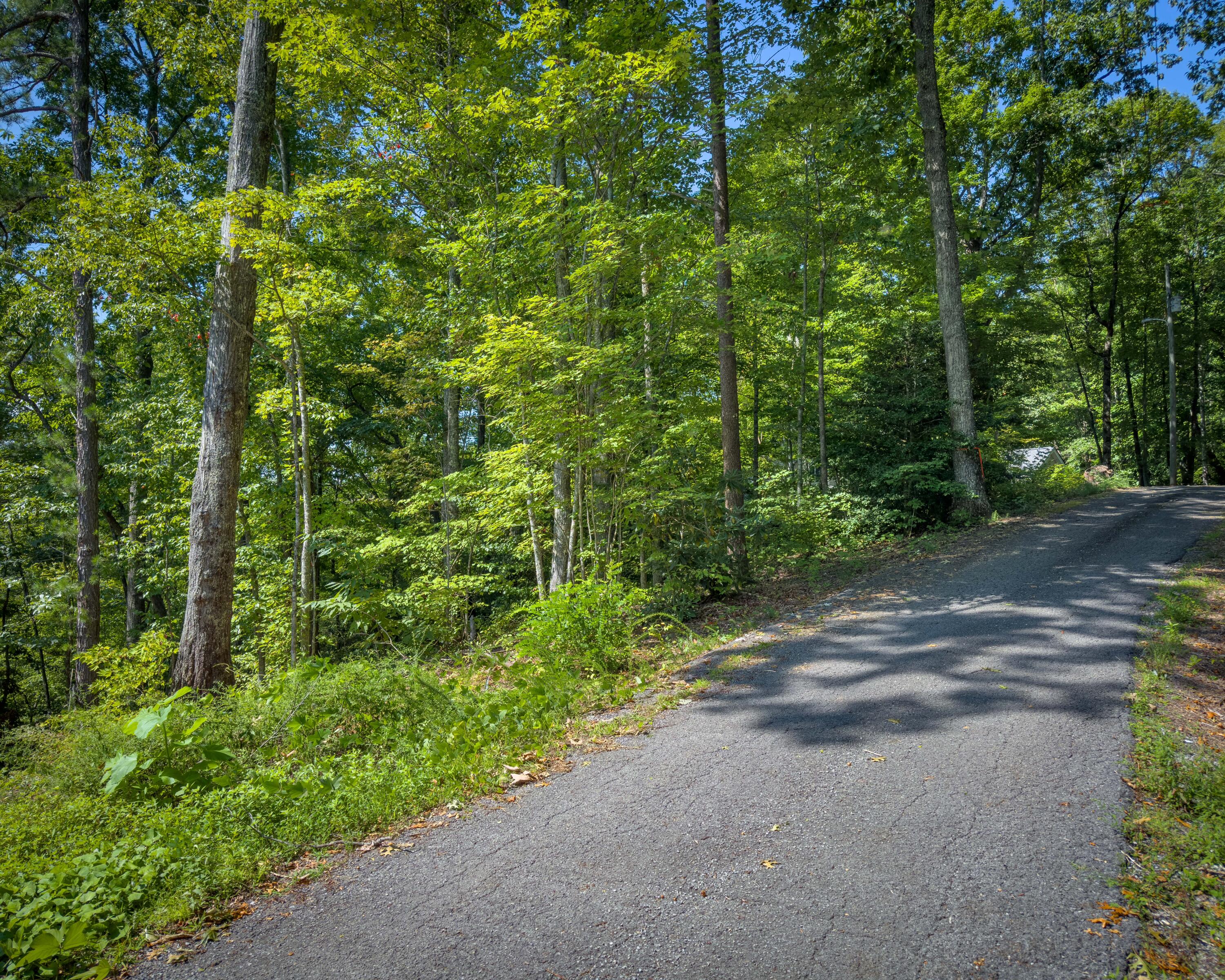 Lot 11 Spring Hill Drive Sevierville TN 37876
