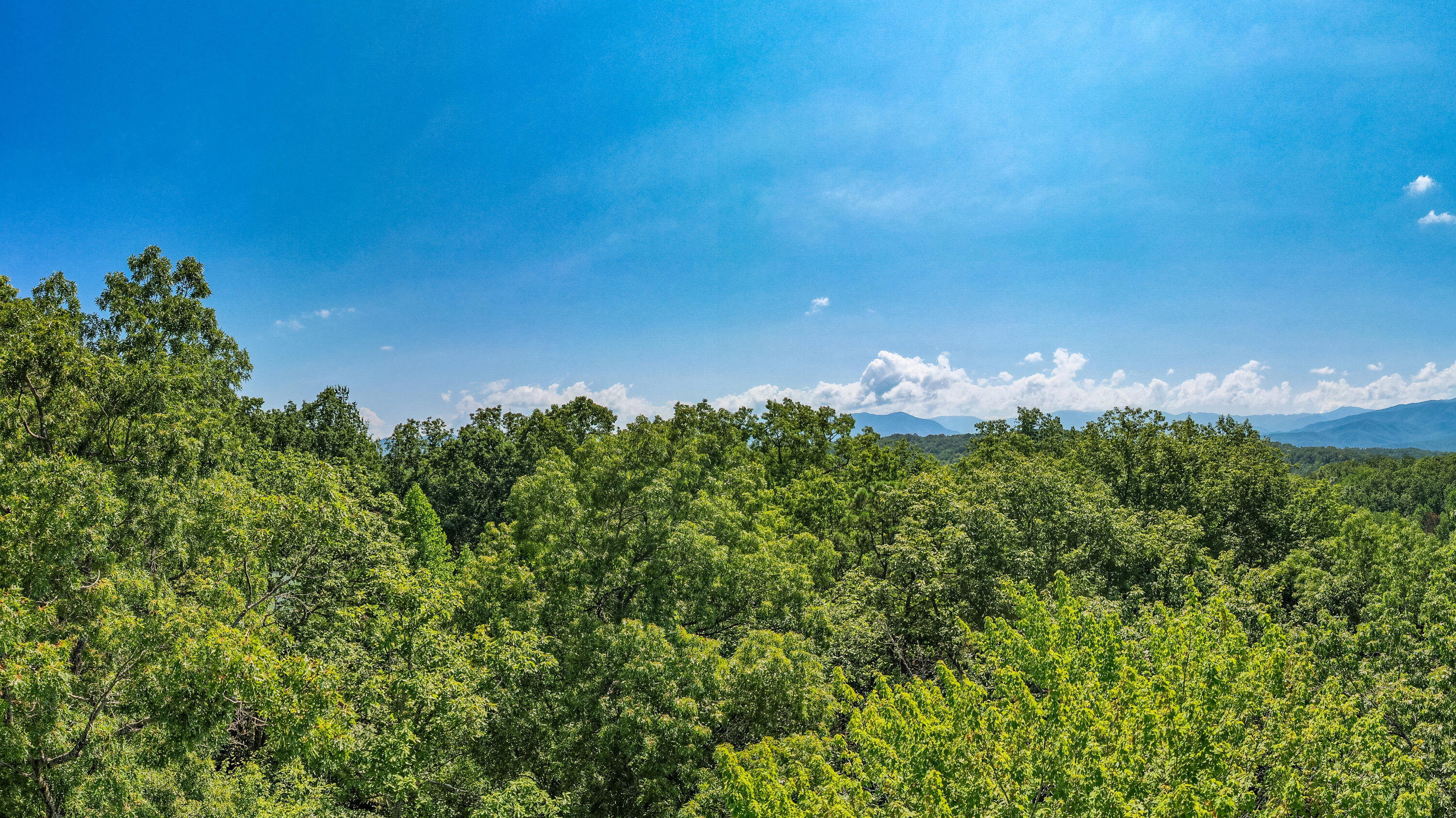 Lot 11 Spring Hill Drive Sevierville TN 37876