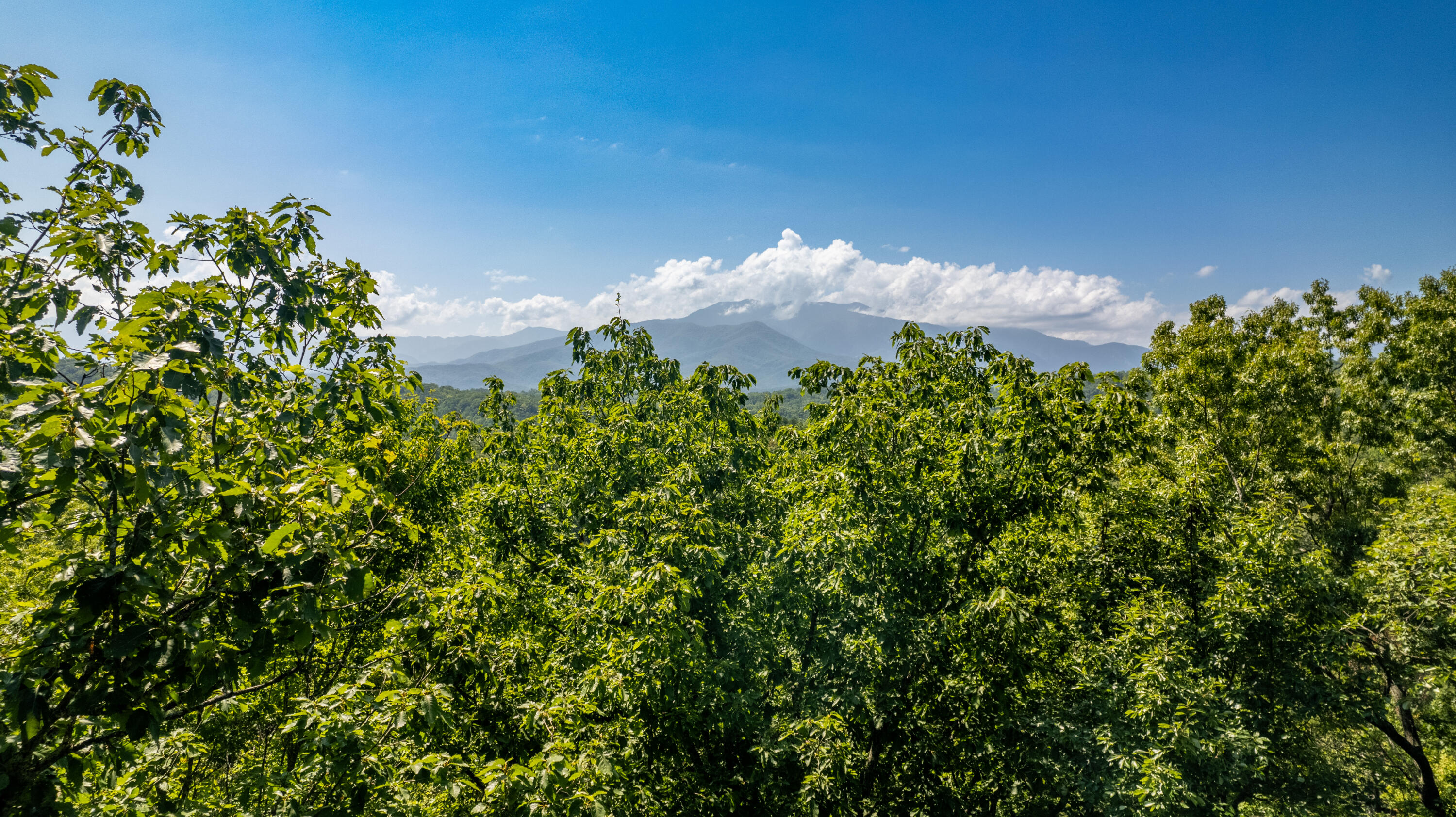 Lot 11 Spring Hill Drive Sevierville TN 37876