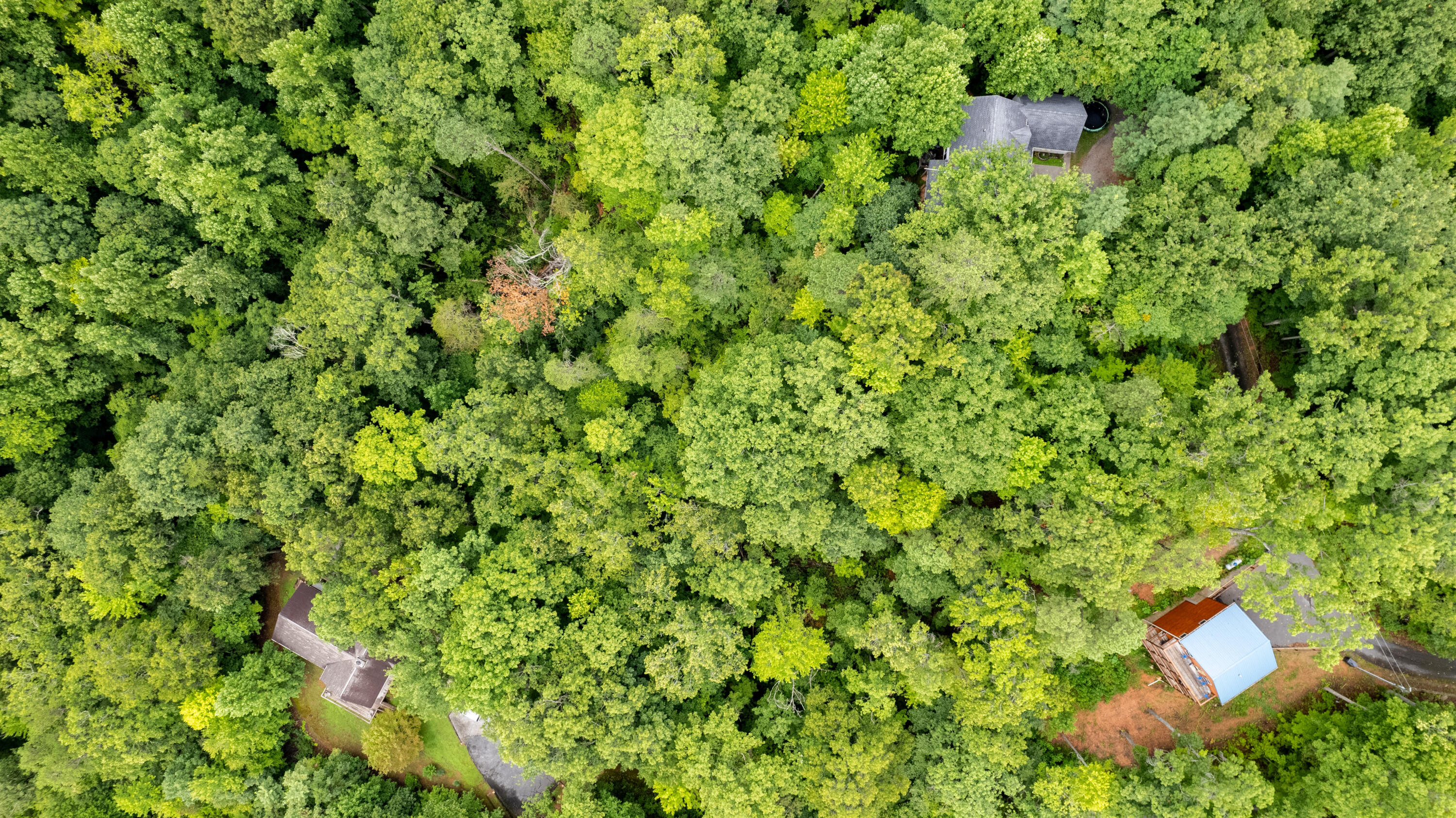 Lot 11 Spring Hill Drive Sevierville TN 37876