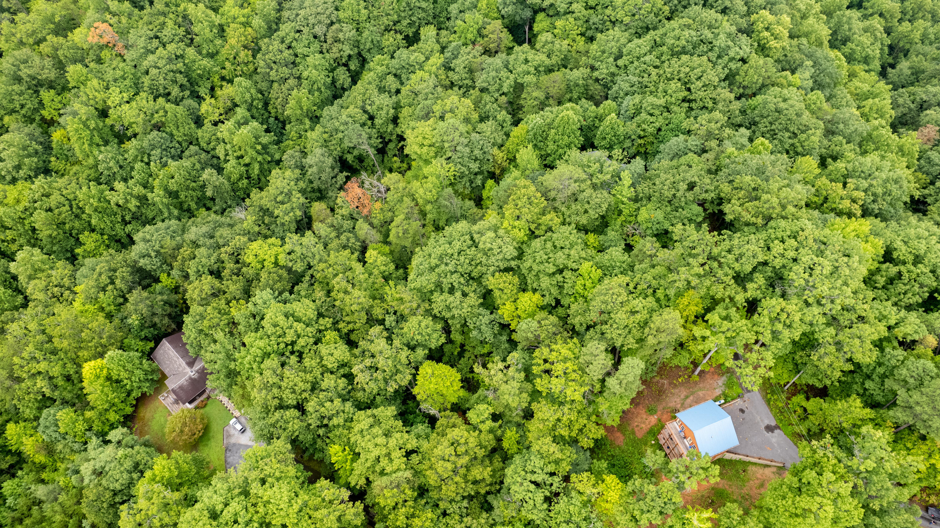 Lot 11 Spring Hill Drive Sevierville TN 37876