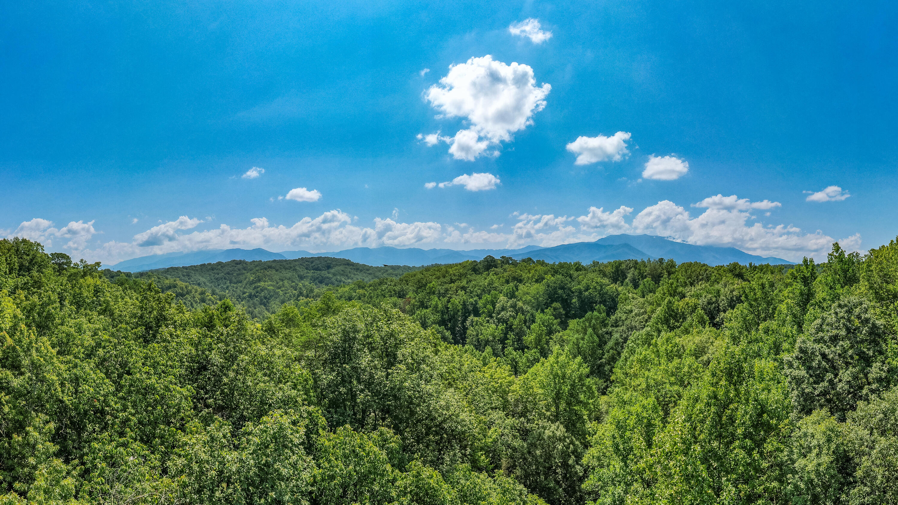 Lot 11 Spring Hill Drive Sevierville TN 37876