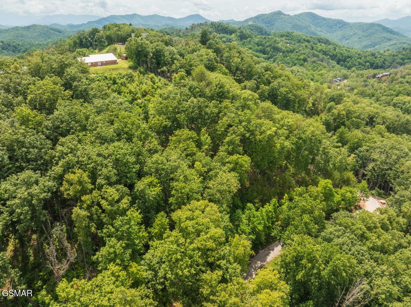 2119 Spurling Road Sevierville TN 37862