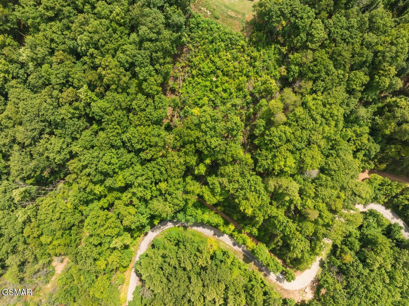 2119 Spurling Road Sevierville TN 37862