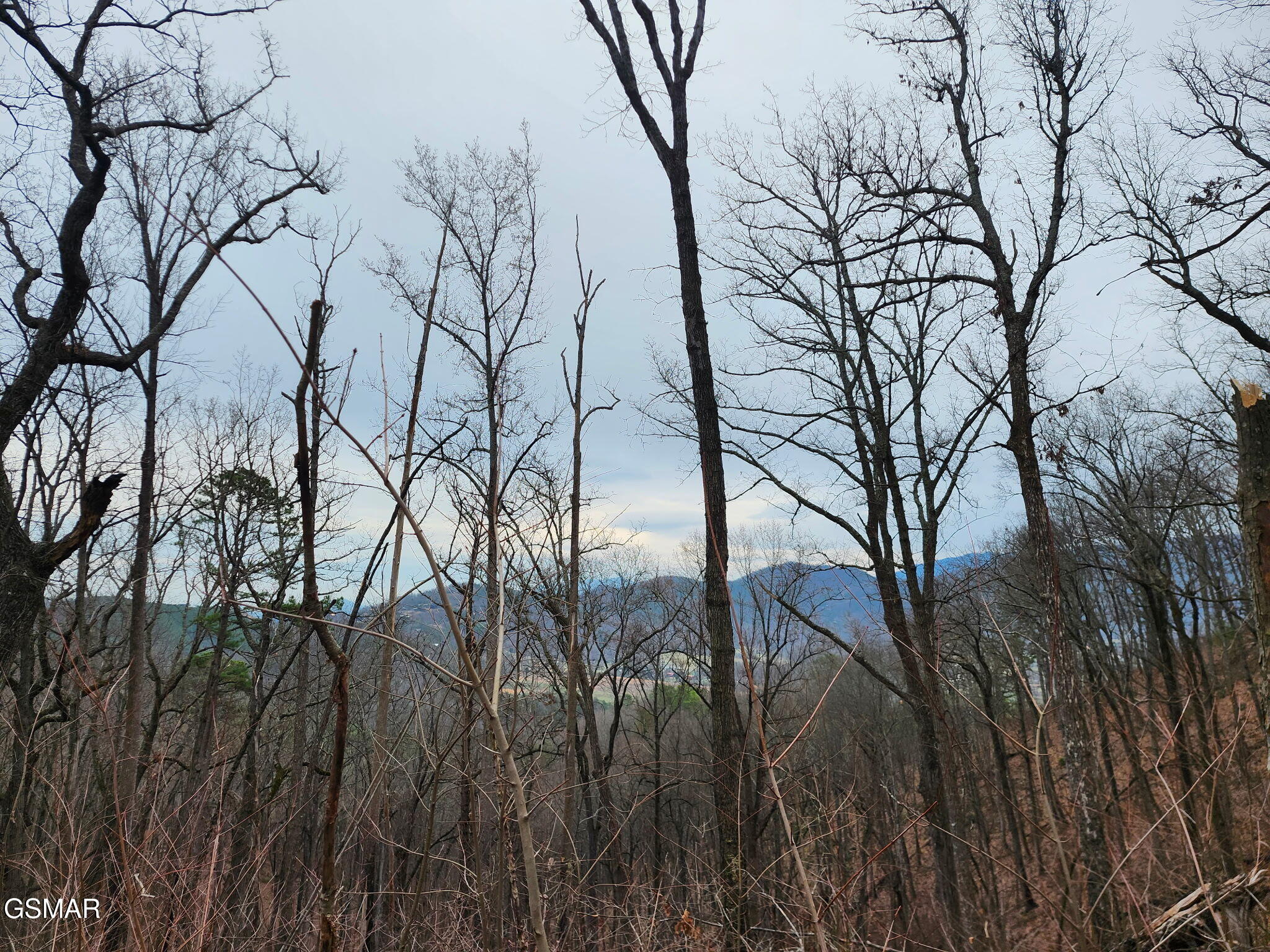 2119 Spurling Road Sevierville TN 37862