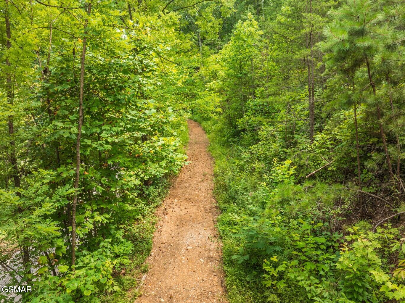 2119 Spurling Road Sevierville TN 37862