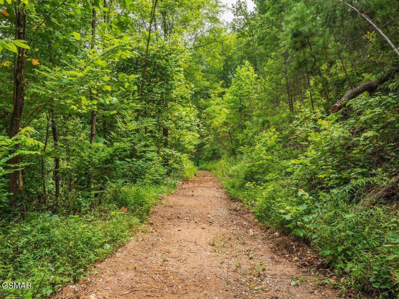 2119 Spurling Road Sevierville TN 37862
