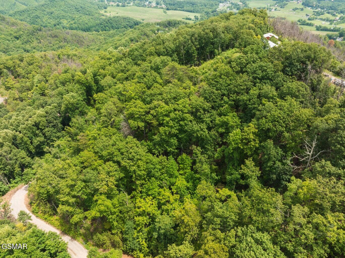 2119 Spurling Road Sevierville TN 37862