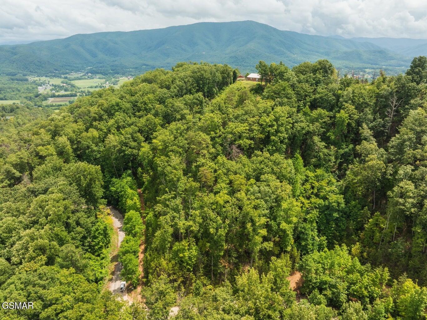 2119 Spurling Road Sevierville TN 37862